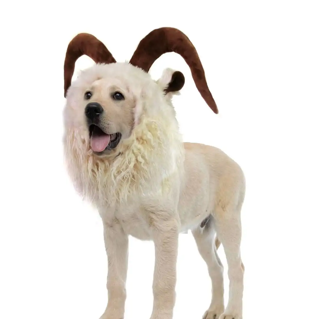 Lion Mane Wig for Dogs. Funny Pet Cat Costumes for Halloween Christmas. Furry Dog Clothing Accessories (Size L.Goat)