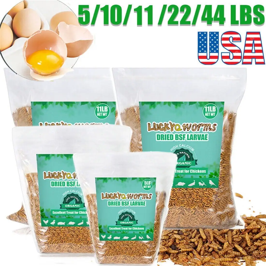 Lohoms Dried Black Soldier Fly Larvae. 5 LBS Dried BSF Larvae for Chickens Birds Treats. High Calcium. Non- 100% Natural Non-GMO Worms Food