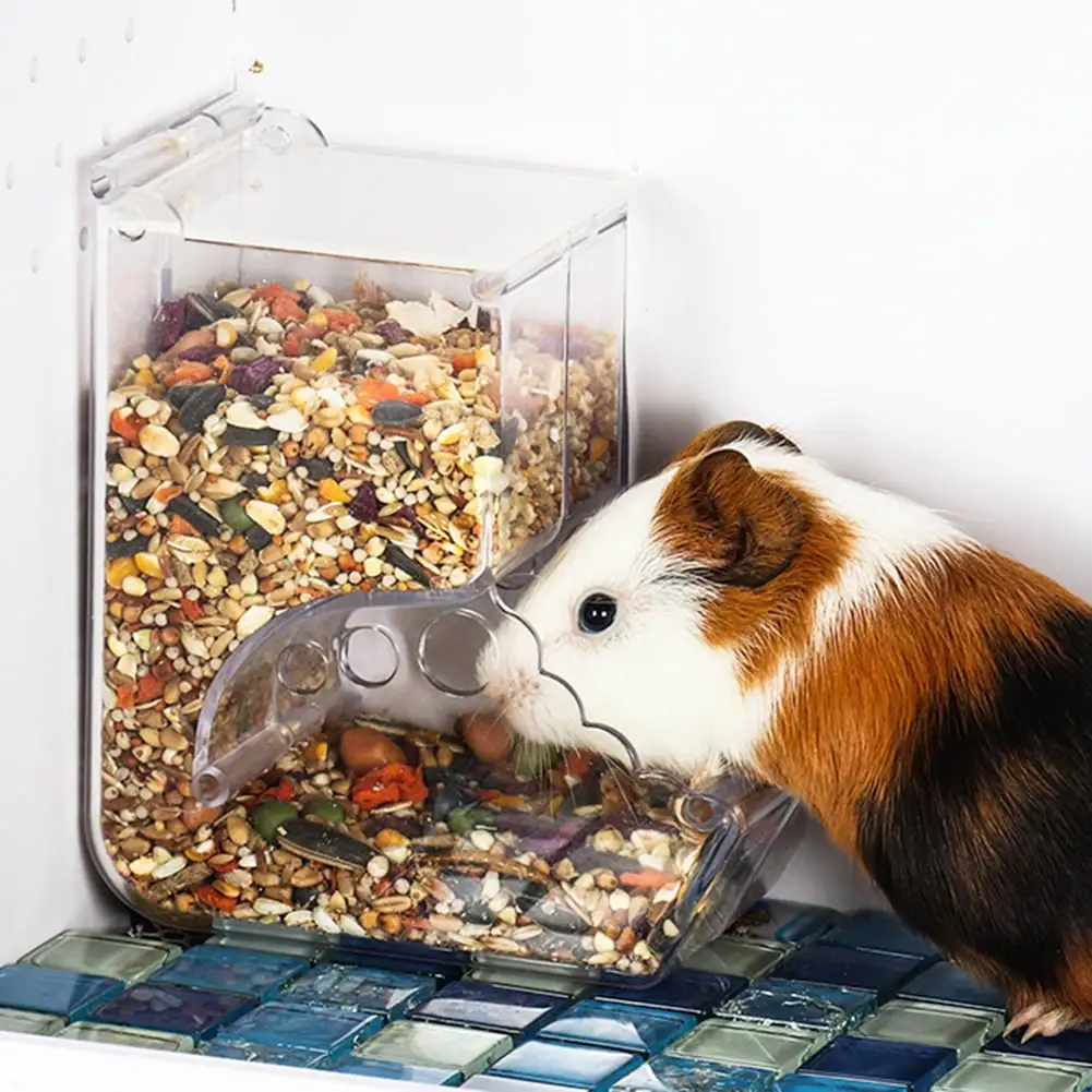 Ludlz Hamster Rabbit Hedgehog Food Dispenser Acrylic Clear Automatic Feeder Pet Supply