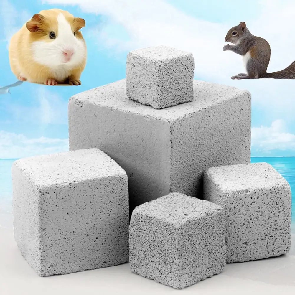 Ludlz Small Pet Hamster Squirrel Rabbit Teeth Grinding Calcium Stone Molar Chew Toy