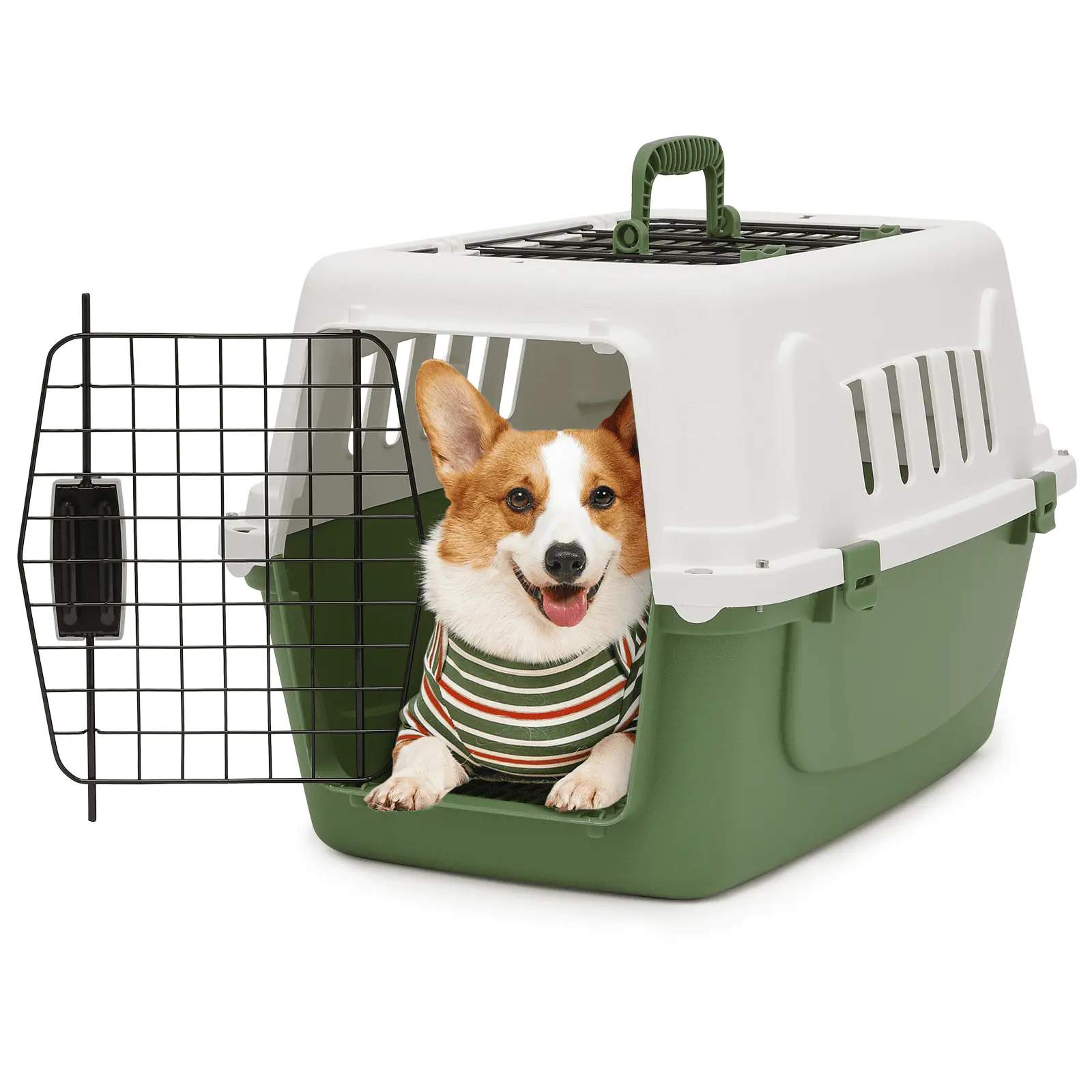 Magshion Two-Door Small Medium Dog Kennel & Cat Kennel. 22'' Length. Hard-Sided Pet Carrier (White & Forest Green)