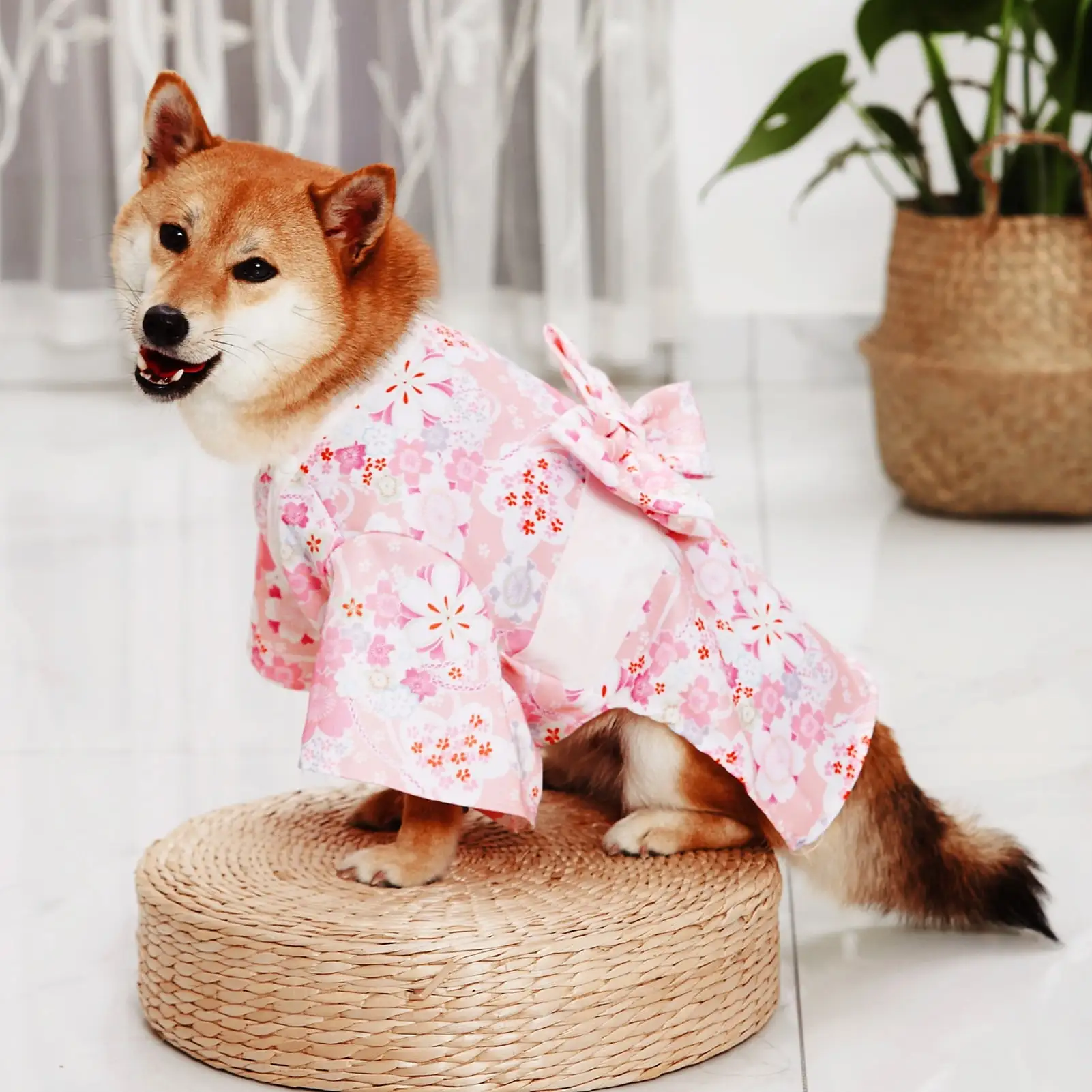 Mairbeon Cat Kimono Japanese Style Bow-knot Decor Fabric Two-legged Pet Costume Dress for Party