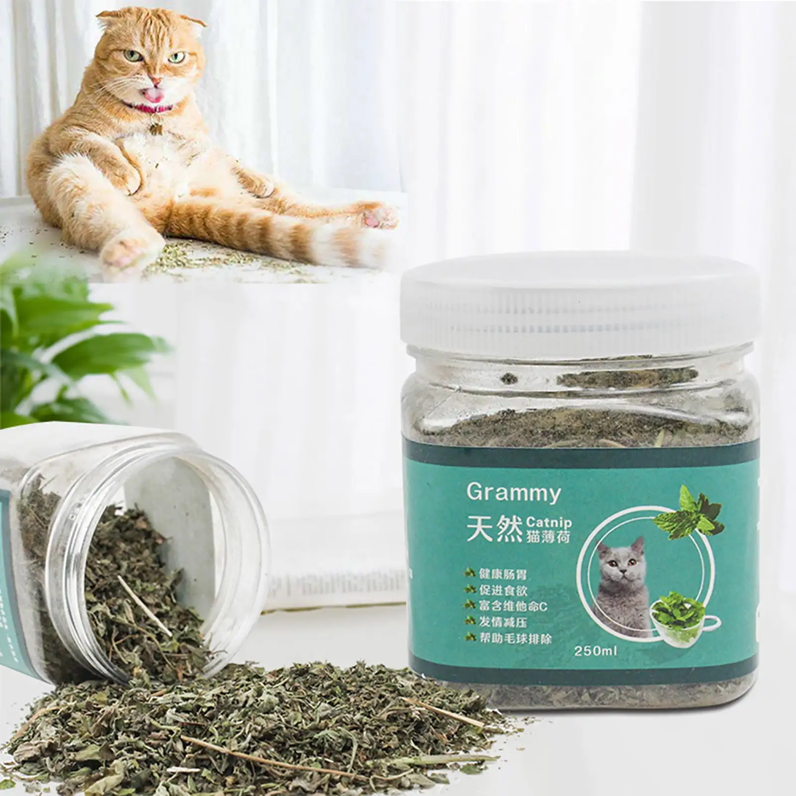 Mairbeon Cats Treats Menthol Flavor Dental Care 250ml Kitten Catnip Snacks for Cats Supplies