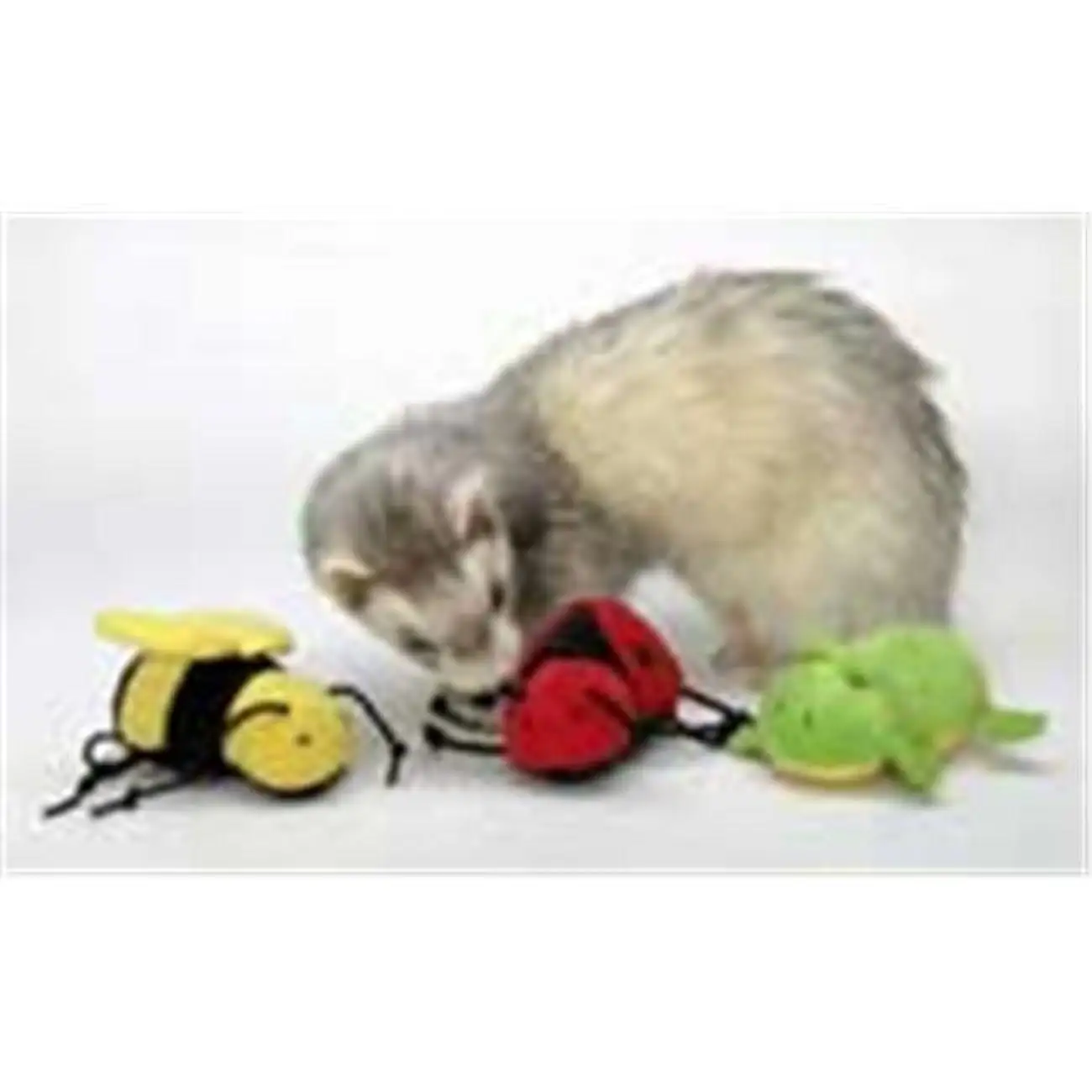 Marshall Pull-N-Go Ferret Toy Assorted Styles