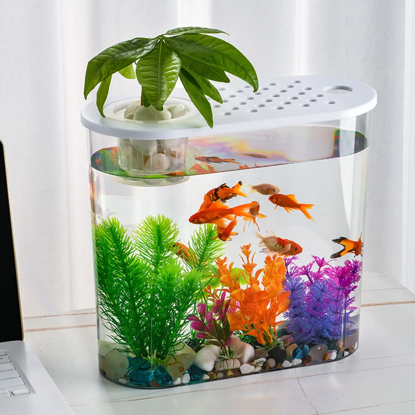 Mdesiwst Stylish Desktop Fish Bowl with Holes And Lid Hydroponics Soil Culture Perfect for Home or Office Decor