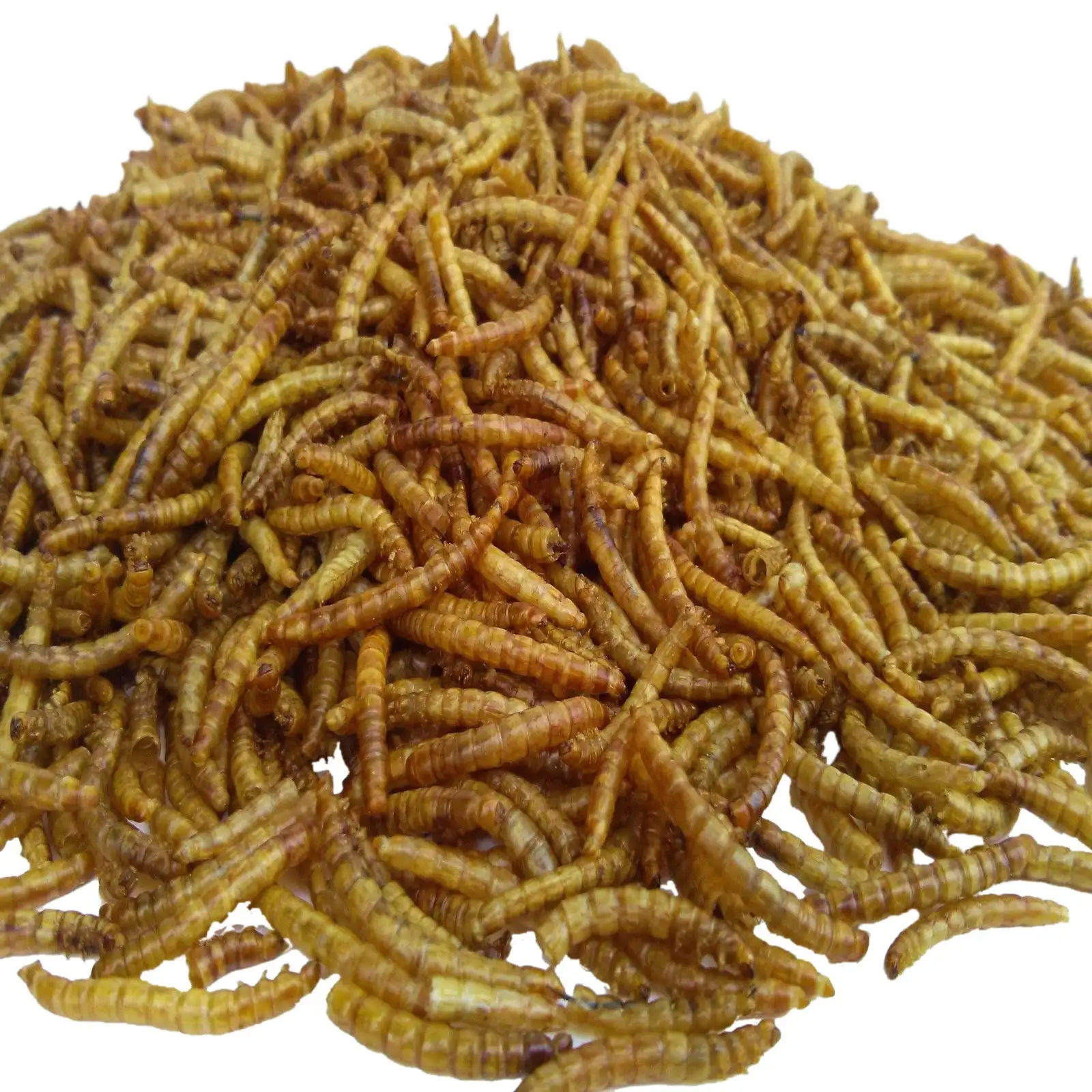 Mealworms--Freeze Dried. Koi & Pond Fish. Large Fish.Turtles. Birds & Reptiles??5-lbs