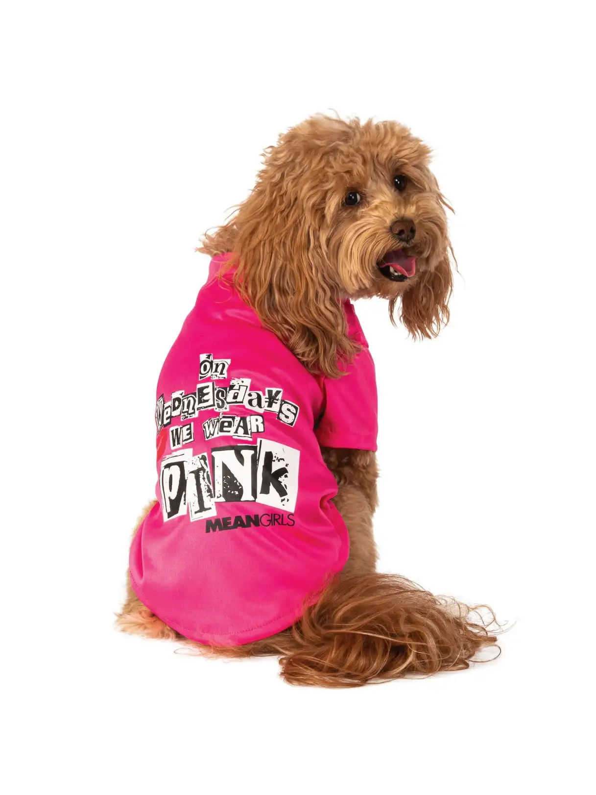 Mean Girls Wednesday Wear Pink Pet Costume