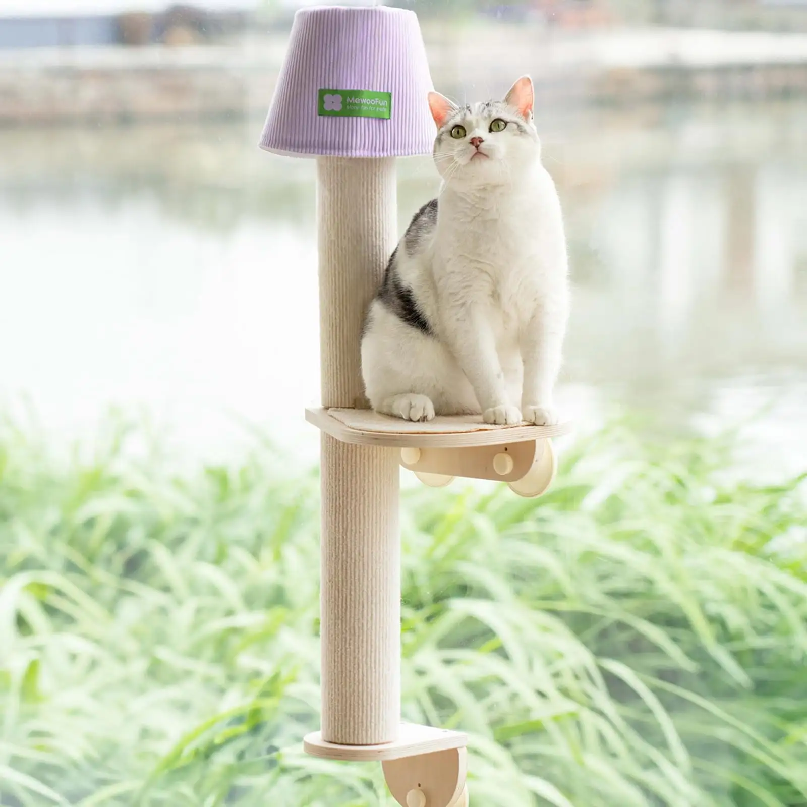 Mewoofun Cat Window Perch Hammock Bed with Scratching Post and Climbing Steps.Wooden Cat Perch Window for Indoor Cats and Kittens.35.6X14.5X13.5