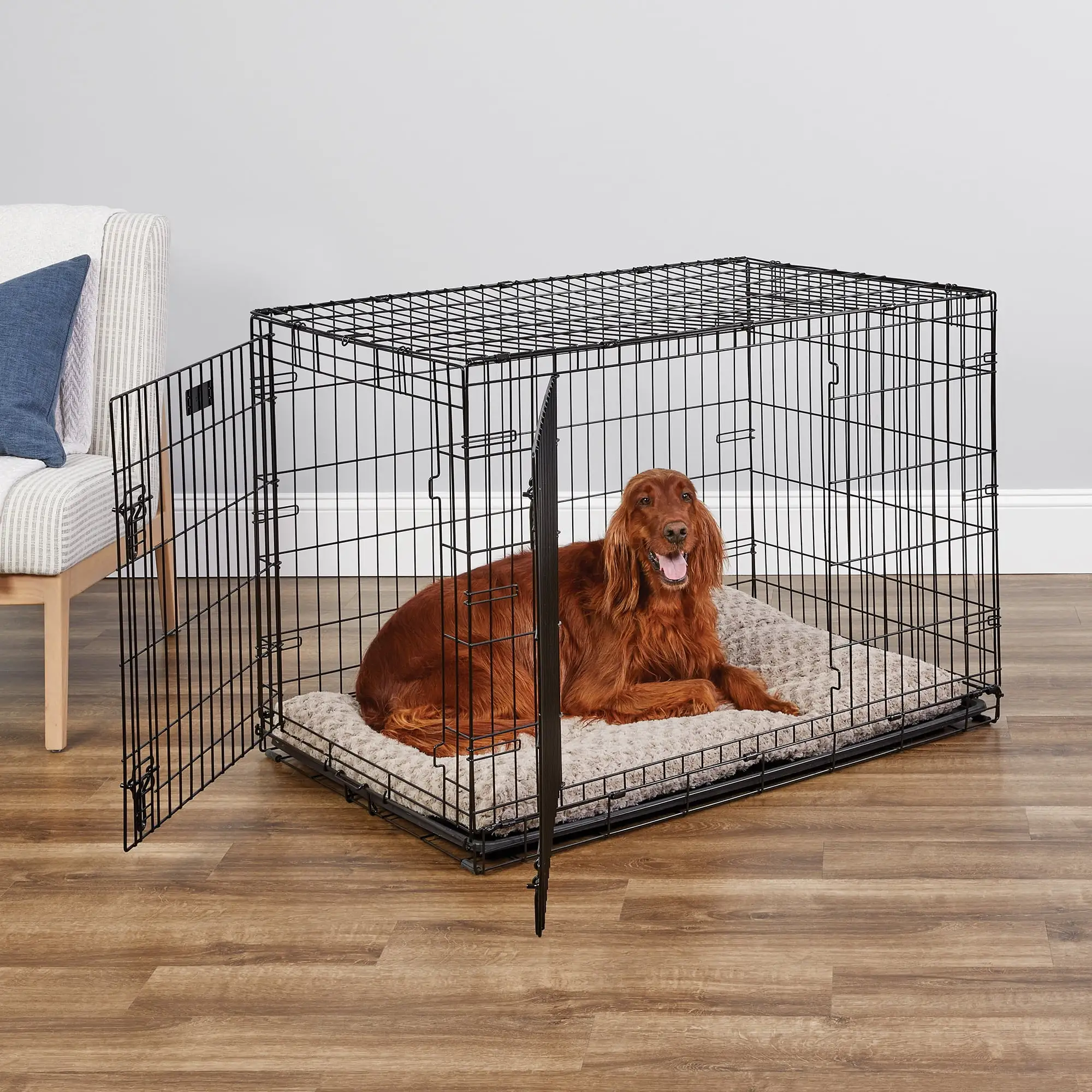 MidWest Homes For Pets Double Door iCrate Metal Dog Crate. 42