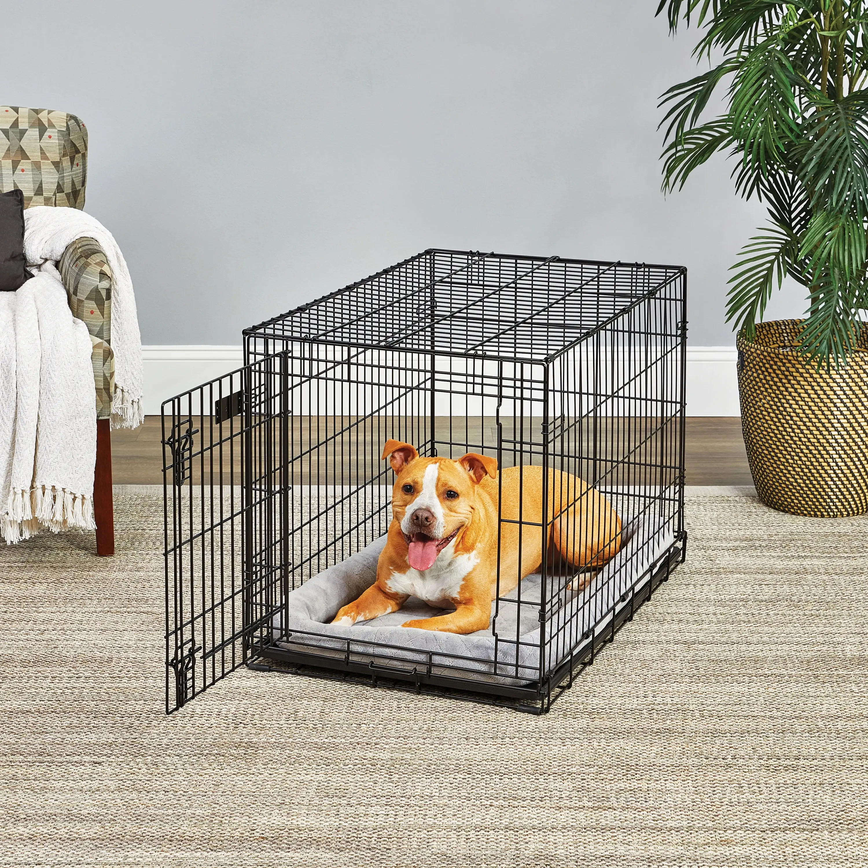 MidWest Homes For Pets Life Stages Folding Single Door Metal Dog Crate