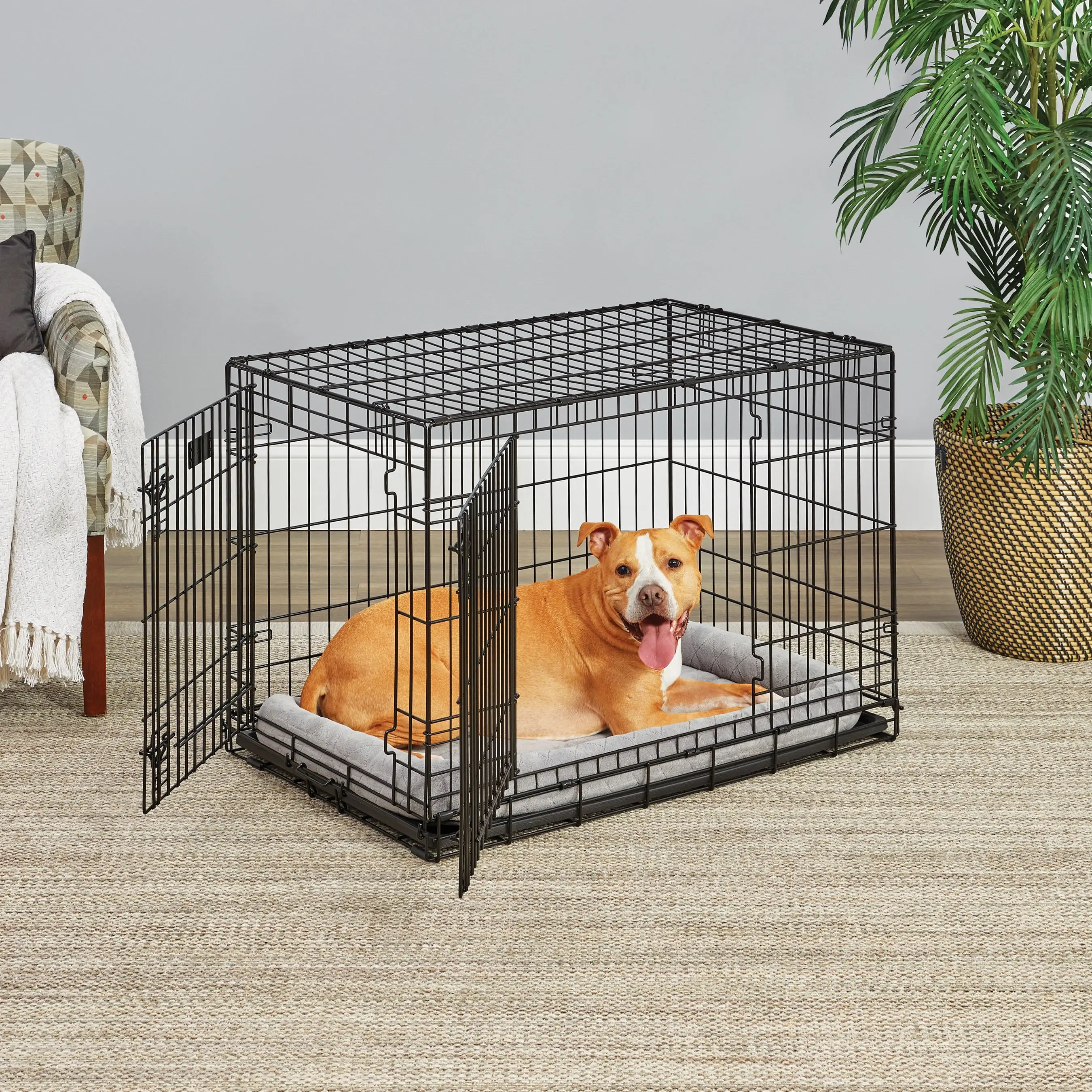 MidWest Homes for Pets Medium Dog Crate Newly Enhanced LifeStages 36' Double Door Folding Metal Dog Crate with Divider Panel. Floor Protecting Feet & Dog Pan. 1636DDU. 37.26L x 24.76W x 26.31H Inches