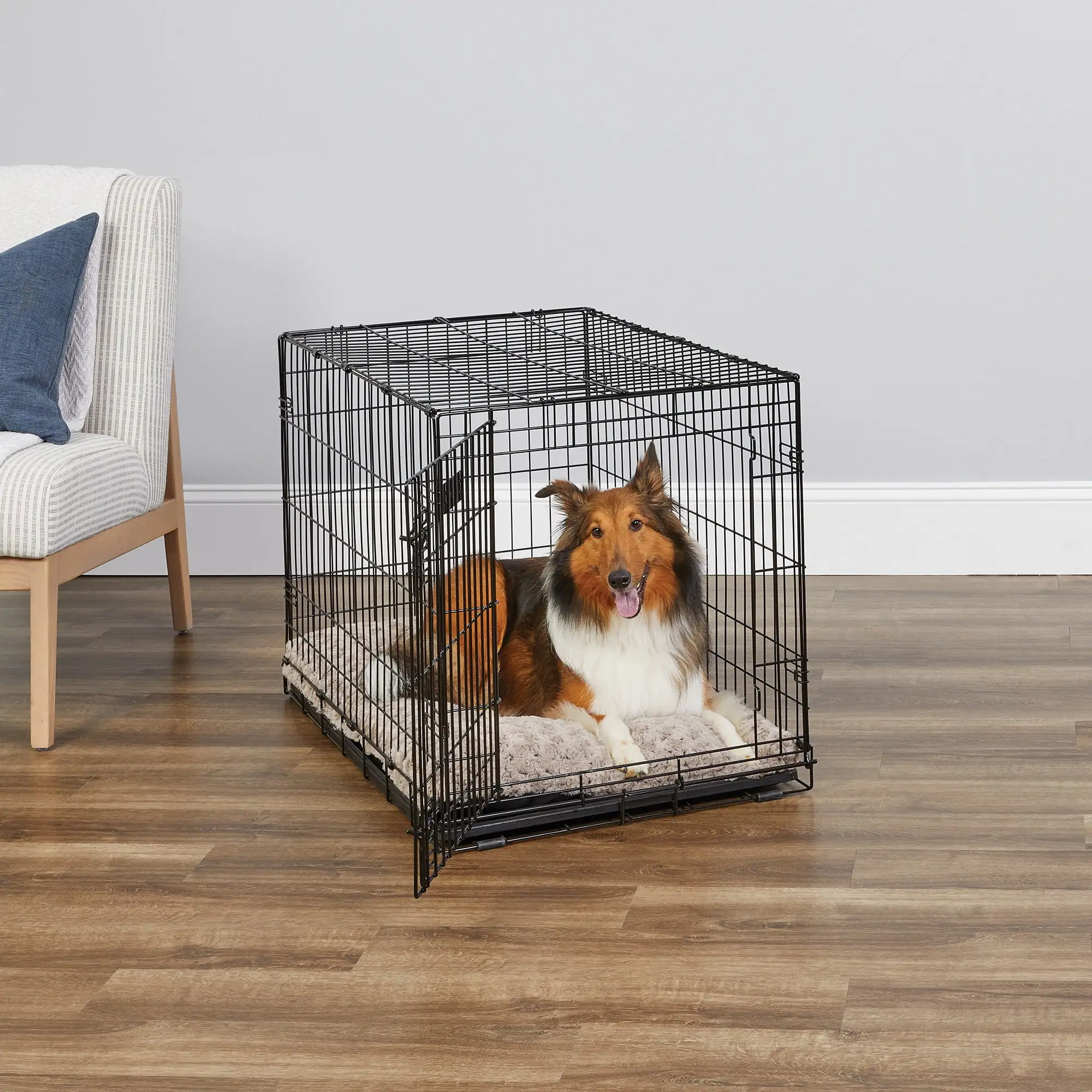 MidWest Homes for Pets Newly Enhanced Single Door iCrate Dog Crate. Includes Leak-Proof Pan. Floor Protecting Feet. Divider Panel & New Patented. 36 Inch