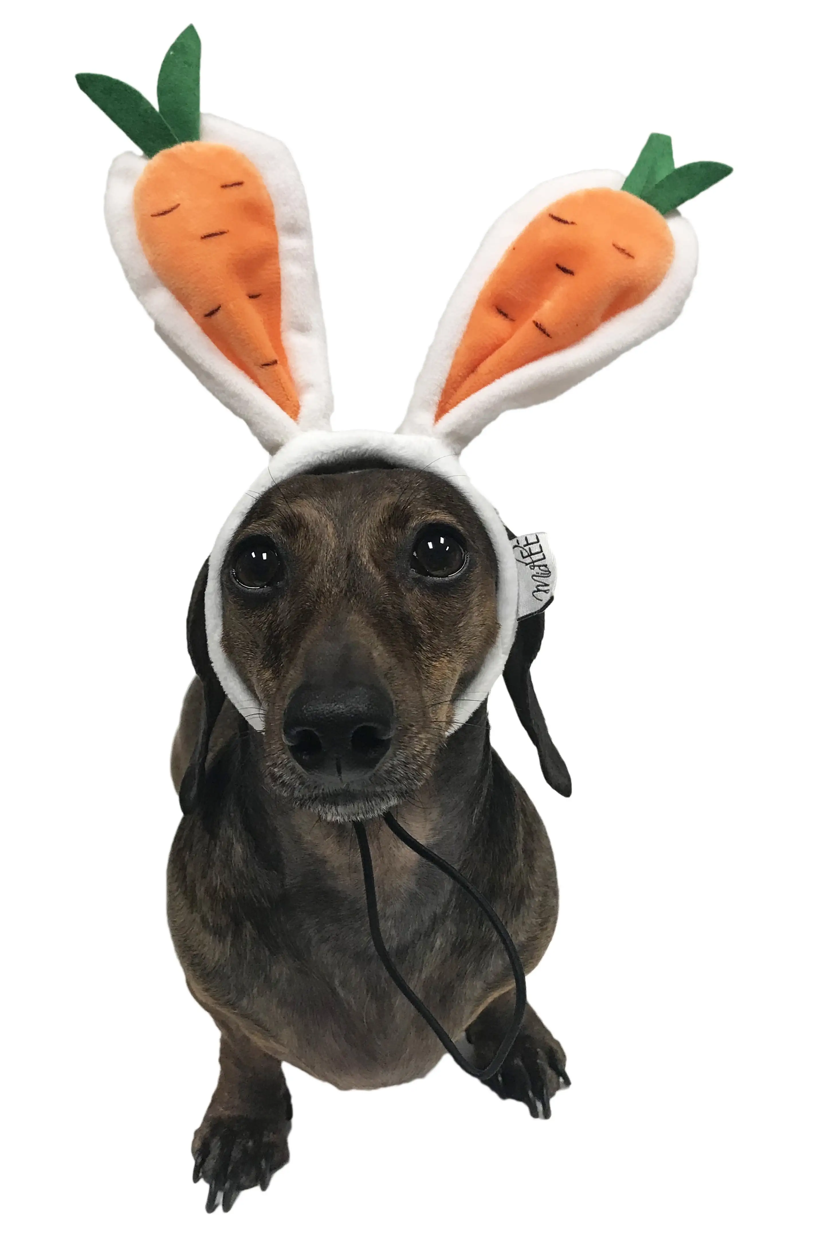 Midlee Carrot Bunny Ears Easter Dog Headband Costume (Small)