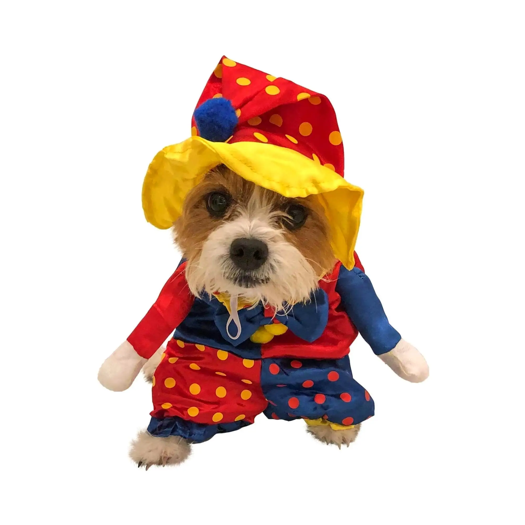 Midlee Clown Dog Costume (Small)