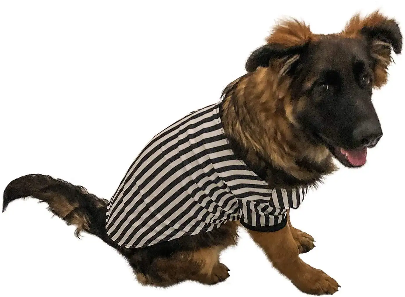 Midlee Referee Dog Halloween Costume (Medium)