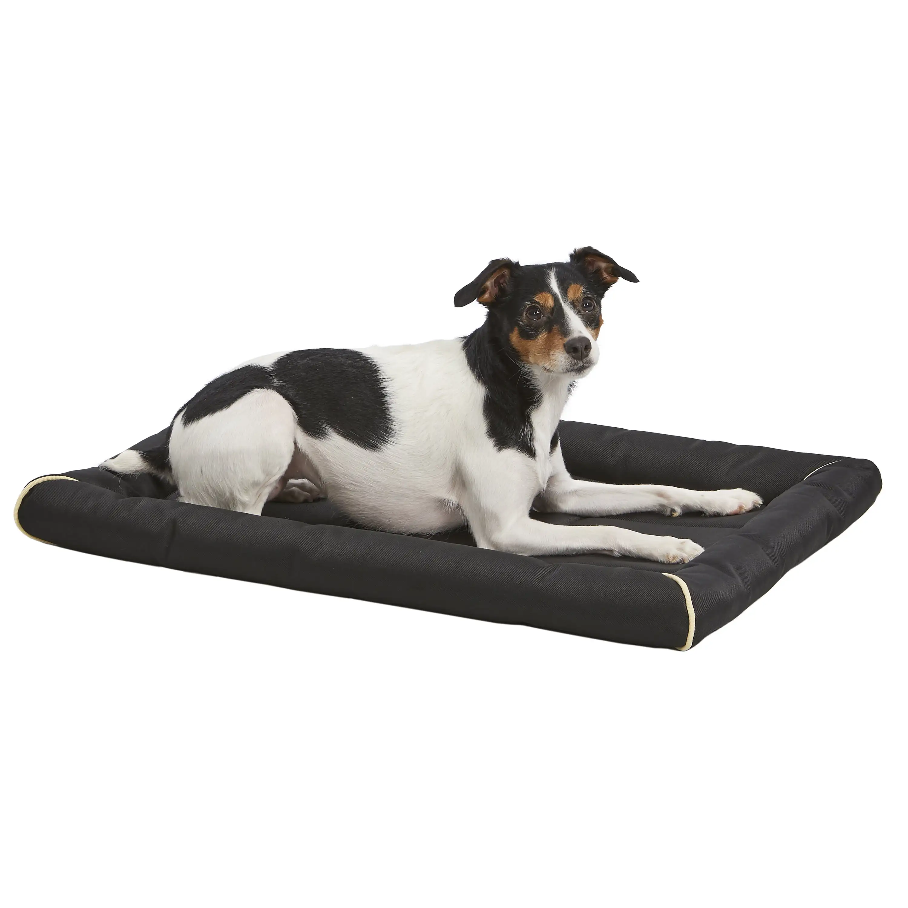 Midwest 36 Black Ultra-Durable Pet Bed