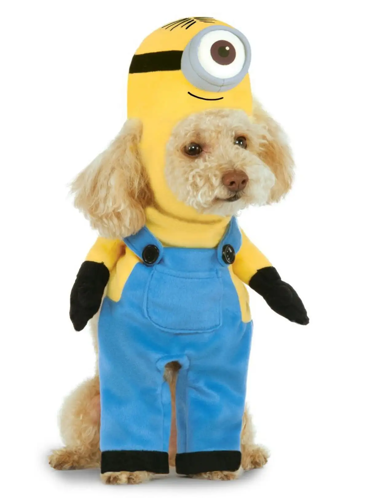 Minion Stuart Pet Costume