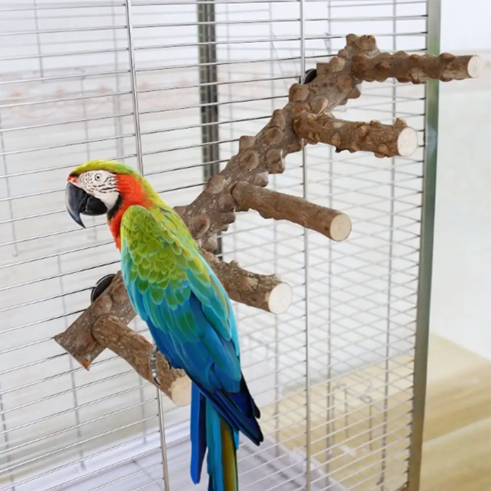 Mulanimo Parrot Nature Wood Climbing Ladder Perch Stand Chew Toys Bird Cage Accessories for Small Animal