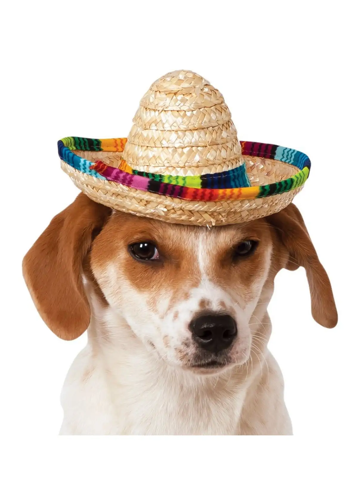 Multicolor Sombrero