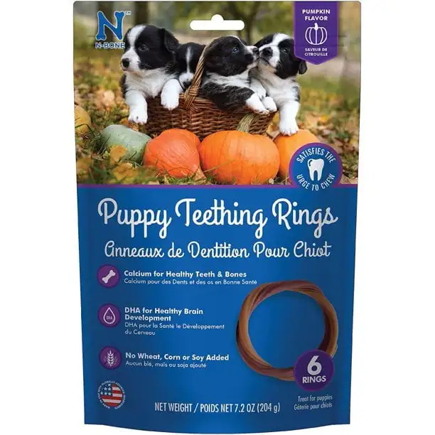 N-Bone N-Bone Puppy Teething Ring - Pumpkin Flavor Puppy Teething Ring - 3.5 Diameter (6 Pack)