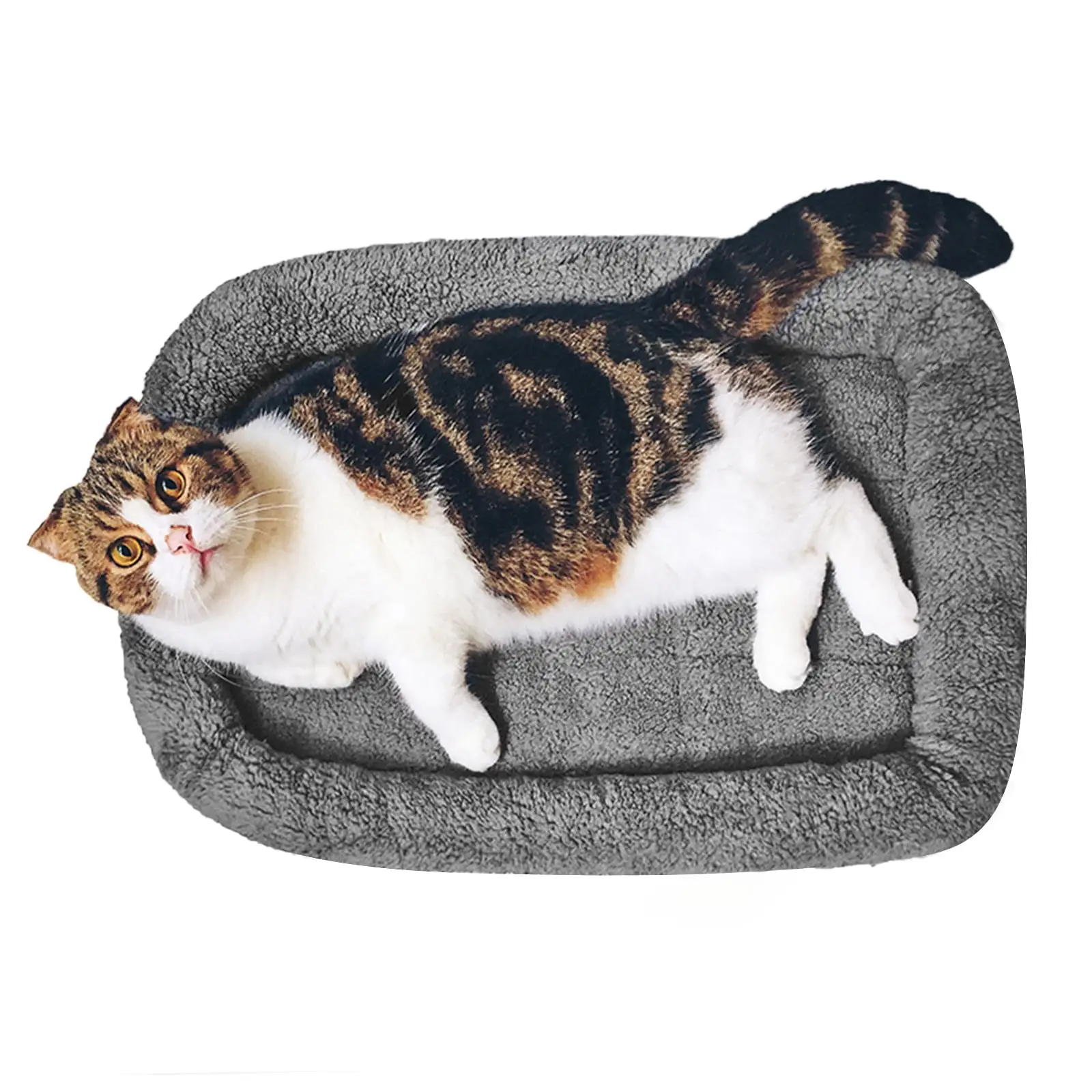 NAMSAN Cat Bed Kitten Bed Cosy Soft Small Dog Cushion Sleep Washable Bed for Cat's Nest/ Cave/Sofa( 22'' X 16'')