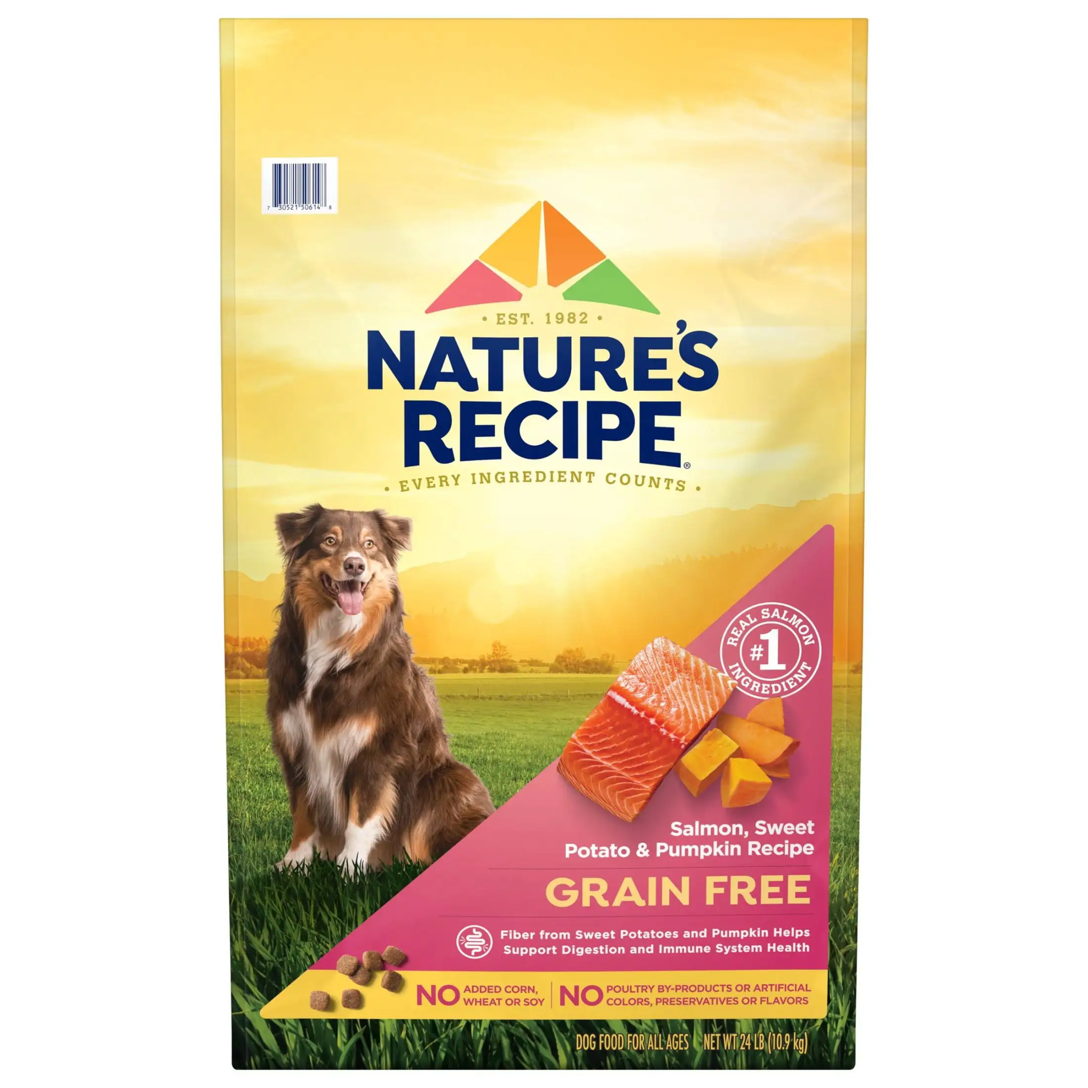 Nature's Recipe Grain Free Salmon. Sweet Potato & Pumpkin Recipe. Dry Dog Food. 24 lb.