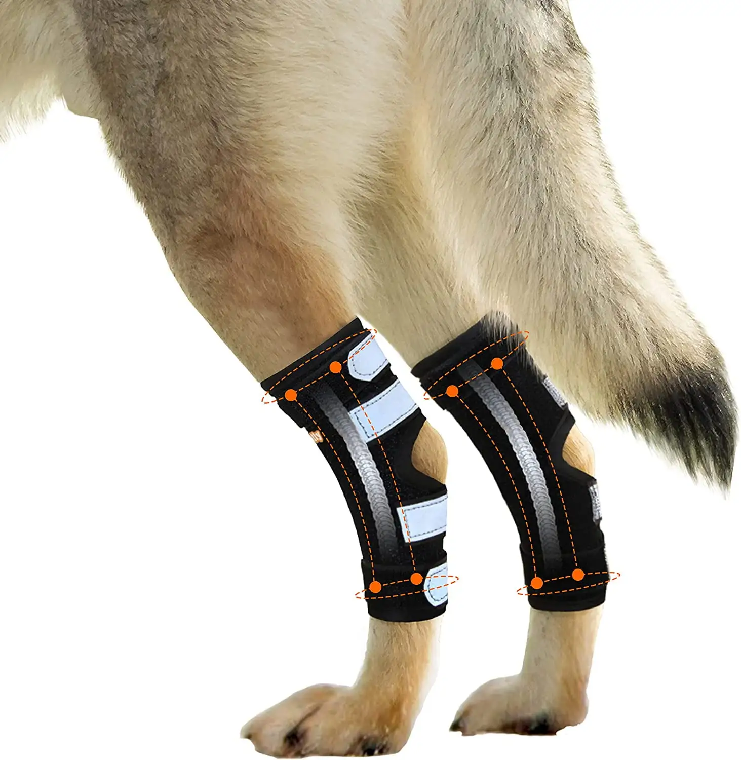 NeoAlly Dog Braces for Back Legs Dual Metal Spring Strips Super Supportive to Stabilize Both Legs. Help Dogs with Injuries Sprains Arthritis ACL CCL (X-Small Pair)