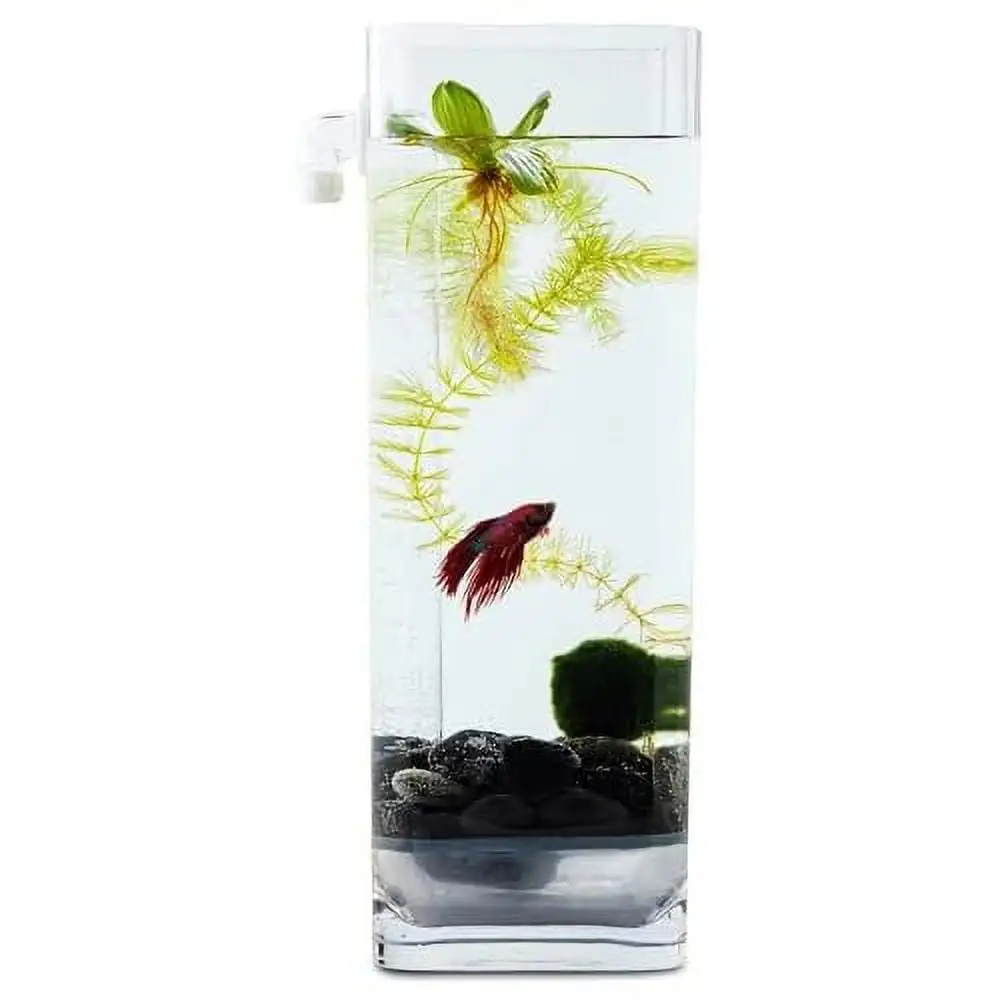 NoClean Aquariums Eco Friendly Self-Cleaning Betta Fish Tank Aquarium Kit with River Stones + Food