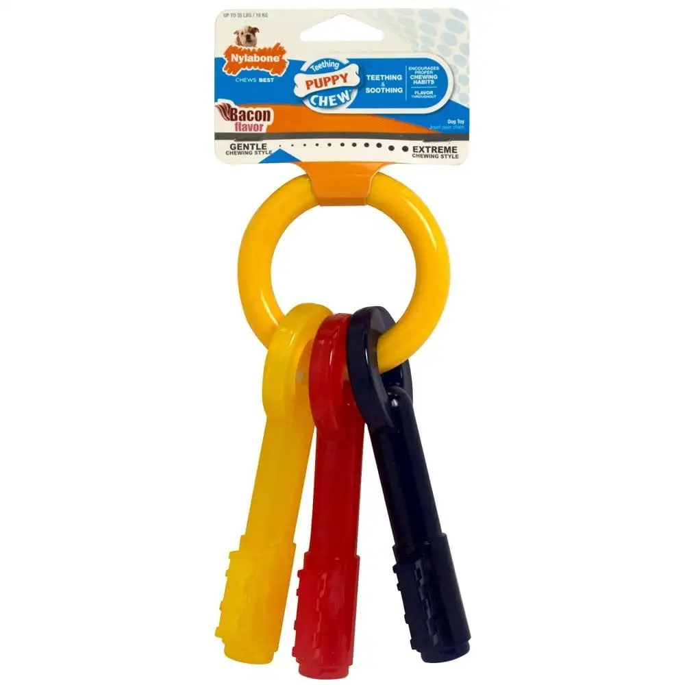 Nylabone Just for Puppies Teething Chew Toy Keys Bacon Medium/Wolf (1 Count)