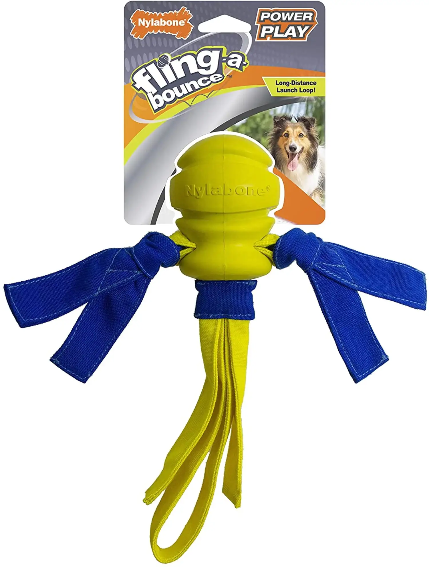 Nylabone Power Play Dog Fetch Toys Fling-a-Bounce Medium - 10 in.