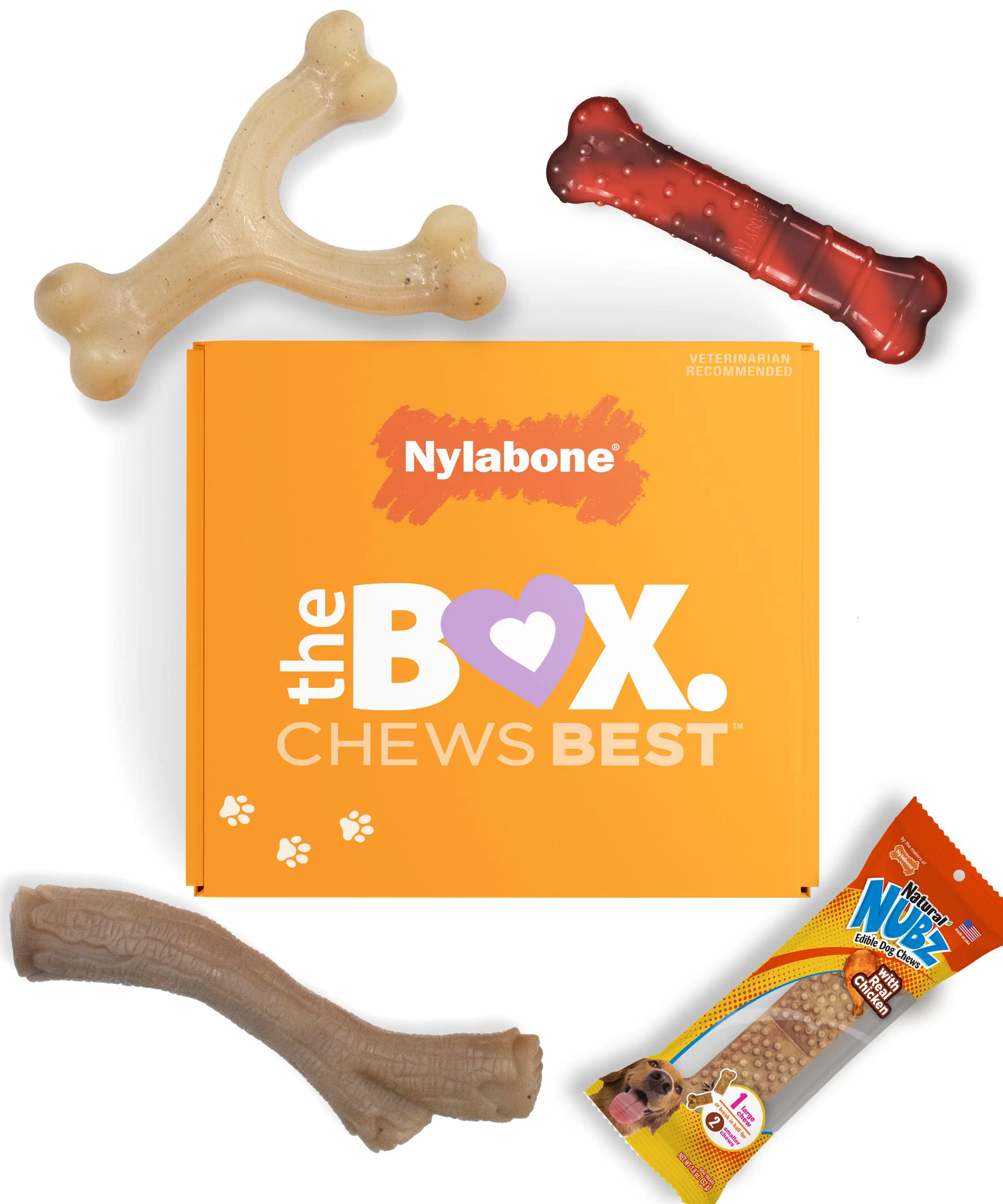 Nylabone The Box - Chew Toys & Treat Dog Gift Box Variety Small/Regular - Up to 25 Ibs. (4 Count)