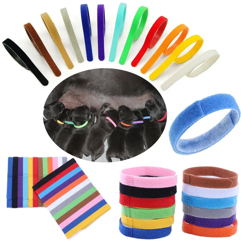 OAVQHLG3B 12 Pcs Puppy ID Collar Whelping Newborn Pet Collars Double-Sided Soft Adjustable Identification Collar ID Bands for Newborn Pet Dog Cat 12 Colors