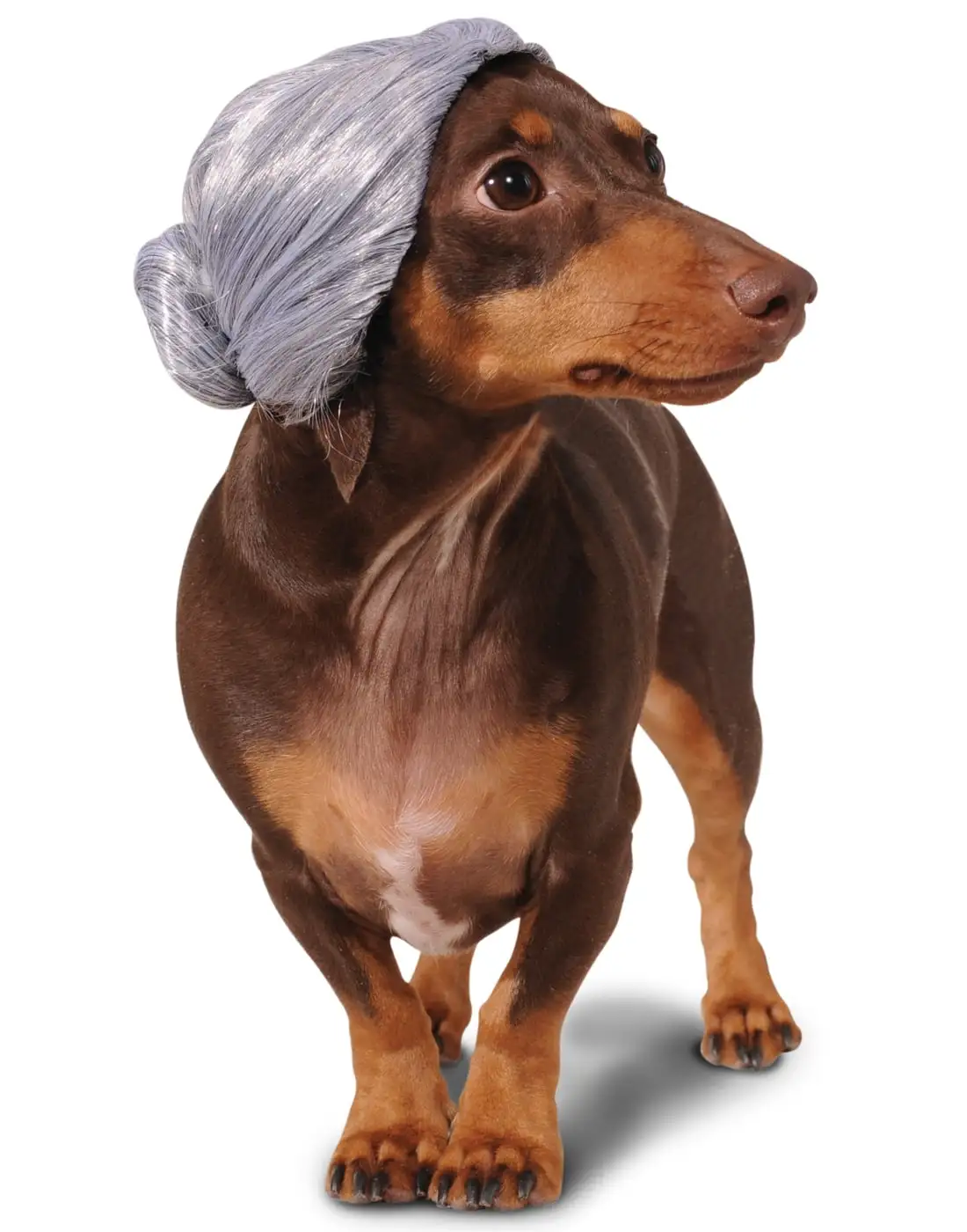 Old Lady Grandma Granny Mom Grey Bun Pet Dog Cat Costume Wig-M-L