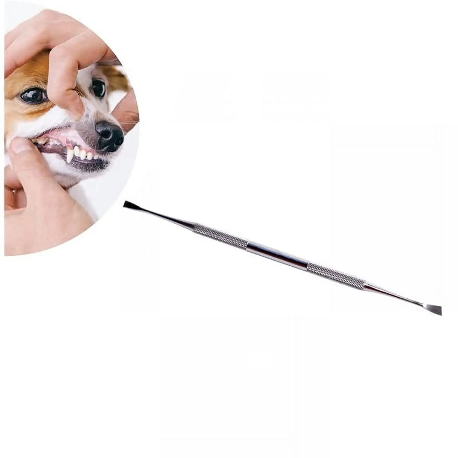 Orchip Stainless Steel Pet Tooth Scaler. Double Header Plaque Remover for Dog Cat