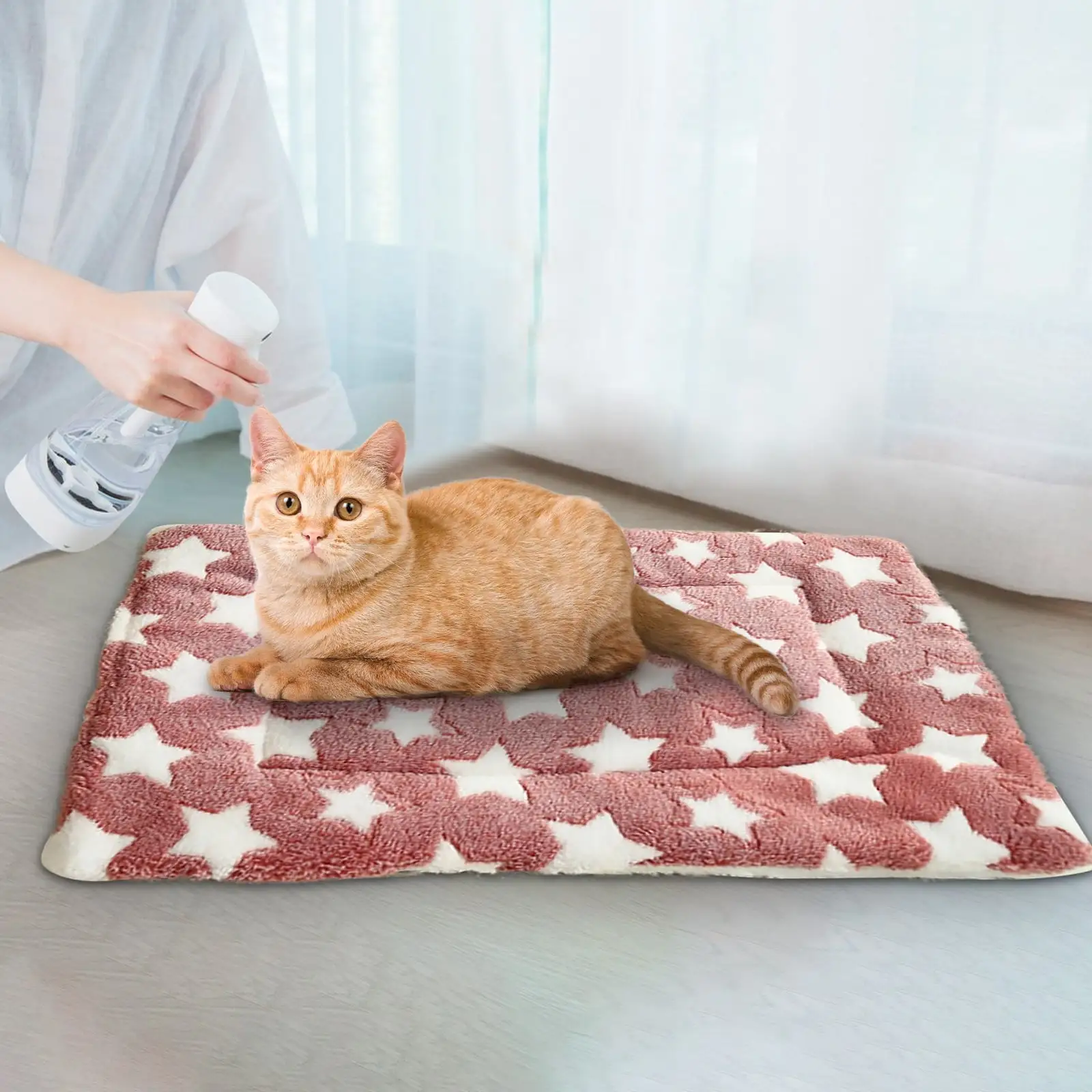 Ovzne Bed Mat Cute Cats Print Blanket Bed for Small Animal Winter Soft Plush Bunny Dog Cat Bed Thickened Washable Reversible Fleece Crate Bed Mat Hamster Bedding (61*41cm) On Sale and Clearance