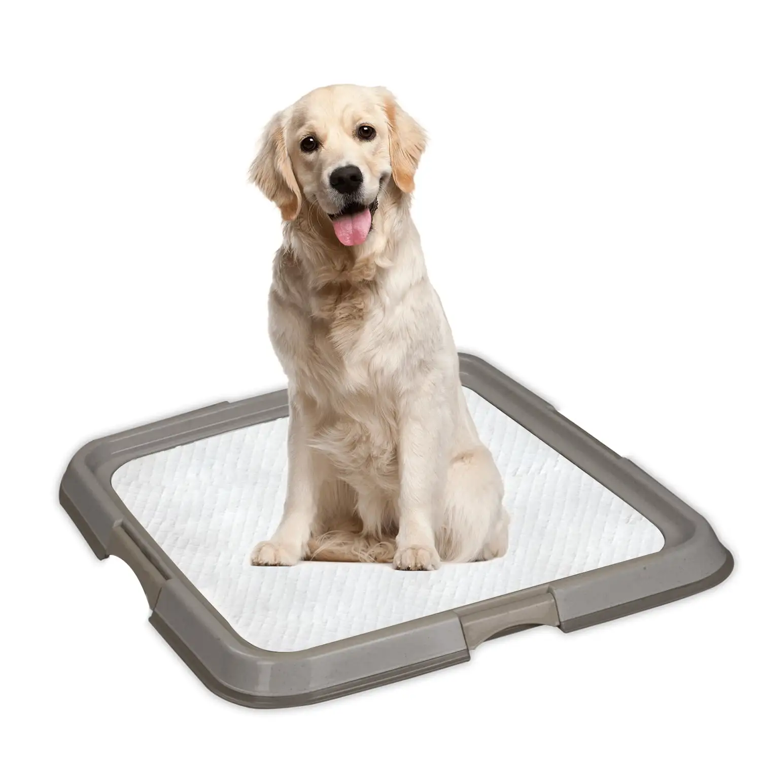 PAWISE Indoor Dog Potty Training Pad Holder. Large