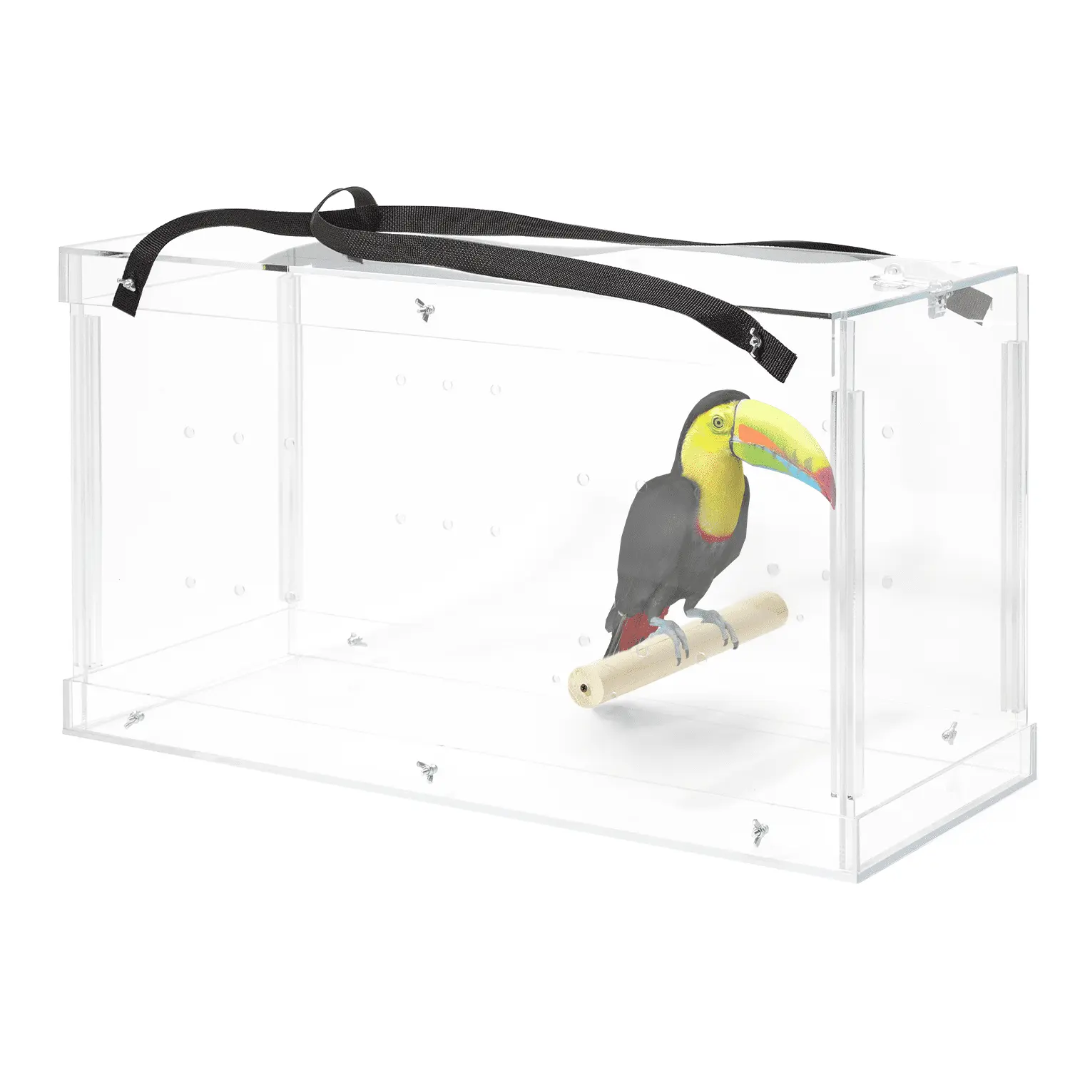 PENNZONI Macaw & Parrot Carrier. Large Bird Acrylic Cage w/ Feeder Bowls