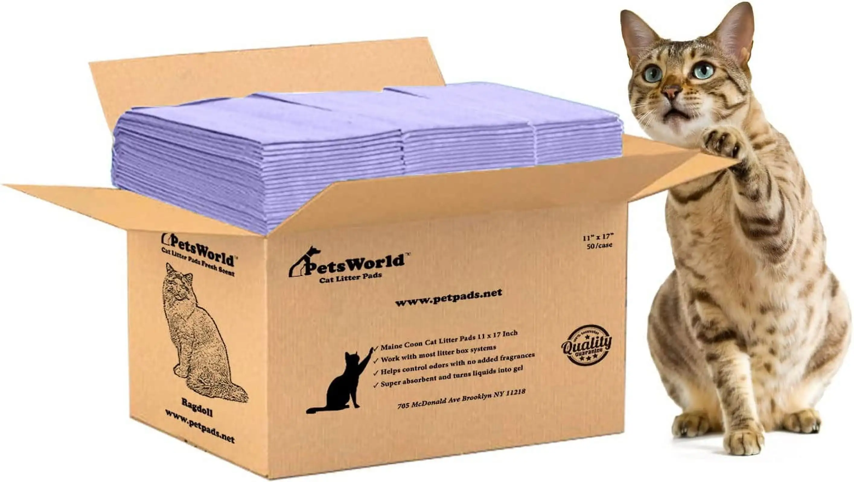 PETSWORLD Cat Pads Refills for Tidy Cats Breeze Litter System for Cat Litter Box. 50 to 400 Pads (50 Count. Unscented)