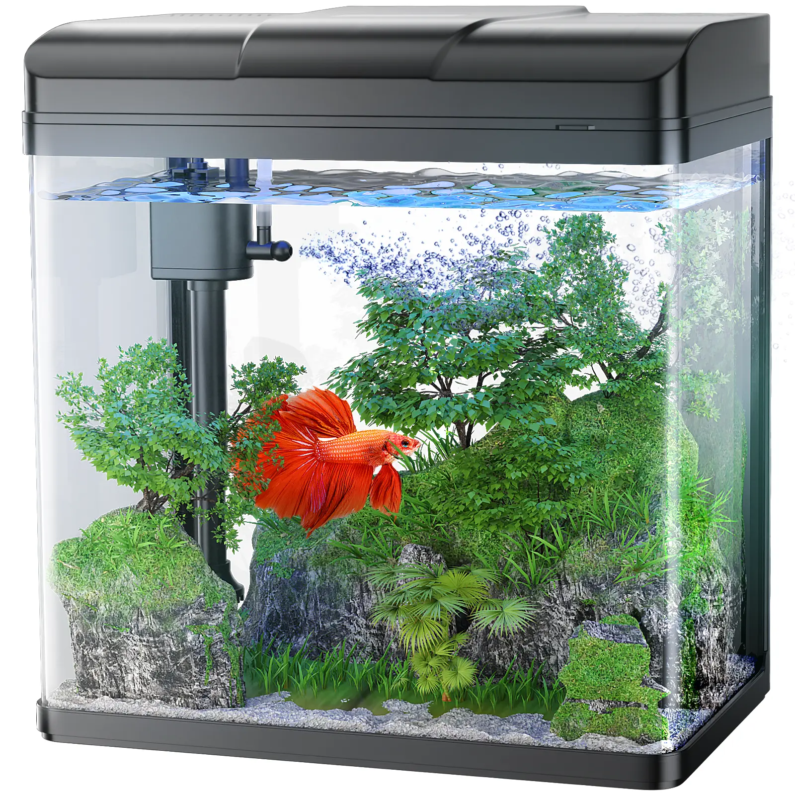 PONDON Fish Tank. 1.7 Gallon Glass Aquarium with Air Pump & LED Light & Filter. Small Fish Tank for Betta Fish Starter Kit (Black)