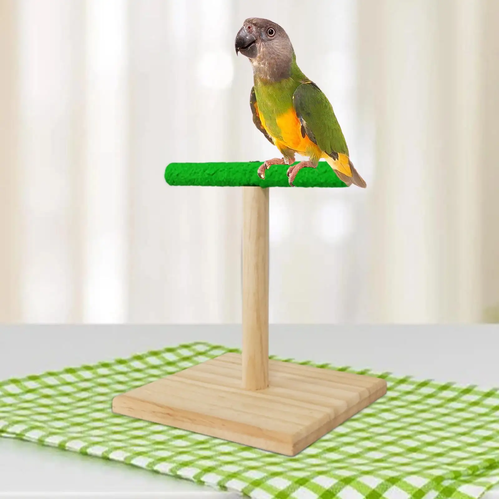 Parrot Stand Multifunction Portable Bird Gym for Cockatoo Macaw Activity Toy B B