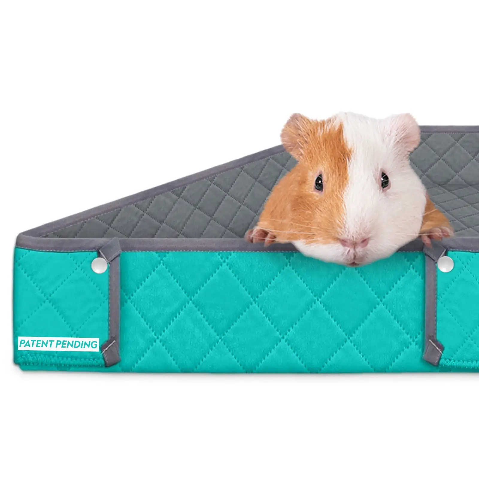 Paw Inspired Critter Box Washable. Reversible Guinea Pig Cage Liner with Raised Sides (Midwest. Gray/Green)