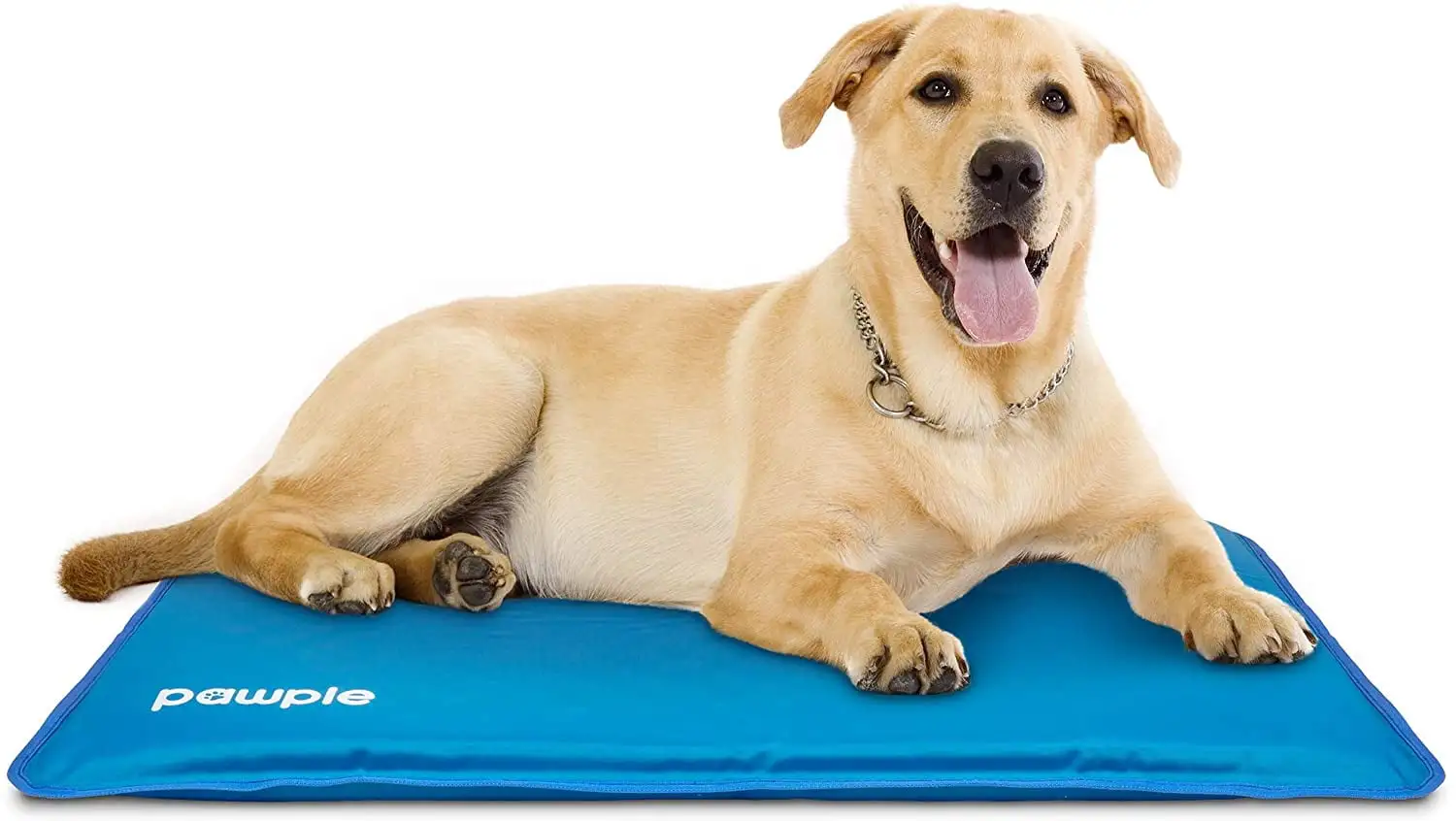 Pawple Self Cooling Dog Mat and Pad for Kennels. Crates and Beds. Thick Foam Base 44 x 32