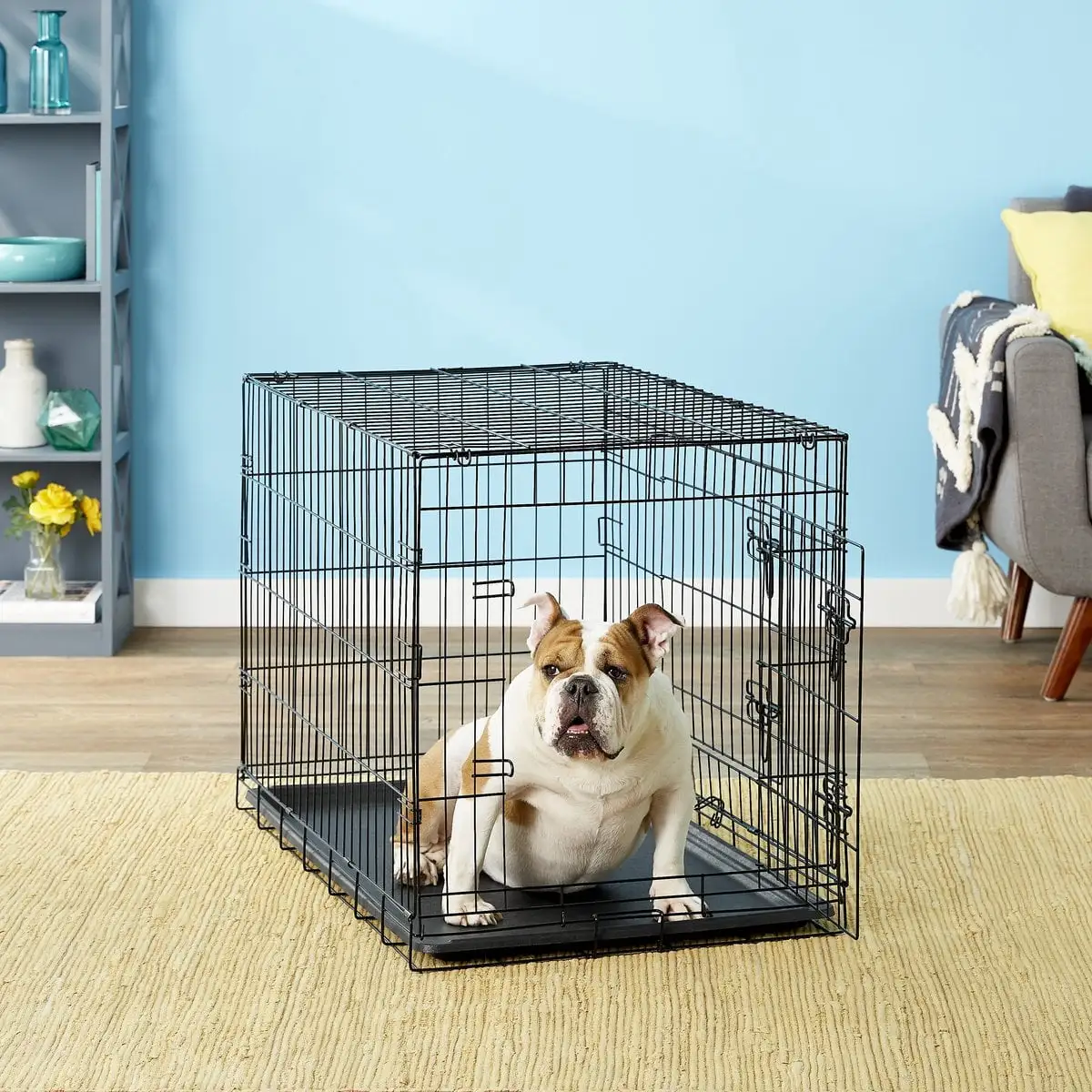 Paws & Pals Heavy Duty Foldable Double Door Dog Crate with Removable Tray (36-inch) (Medium)