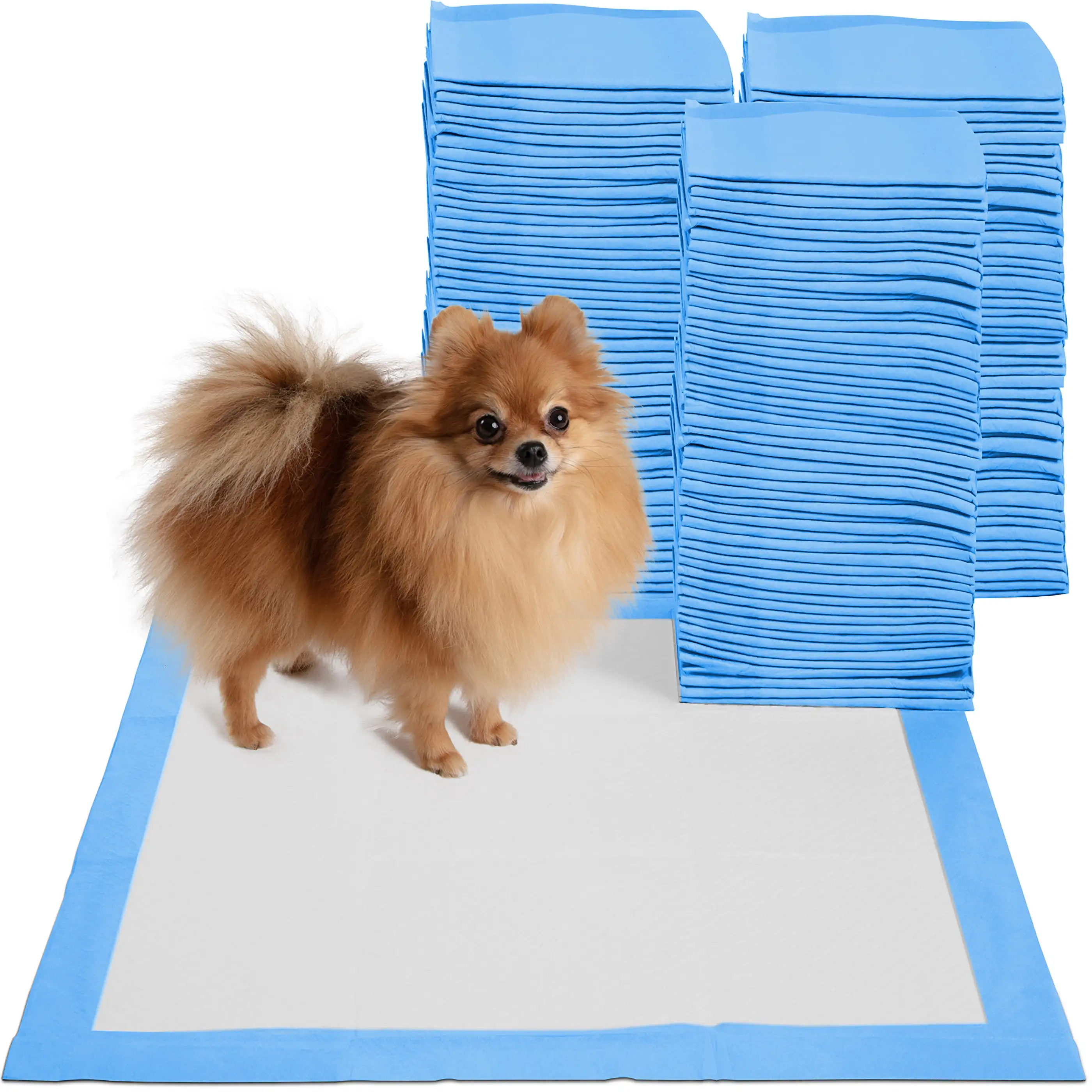 Paws & Pals Pet Puppy Training Pads Durable 5-Layer Leak-Proof Pee Pads (150 Count) (22 x 22 inches)