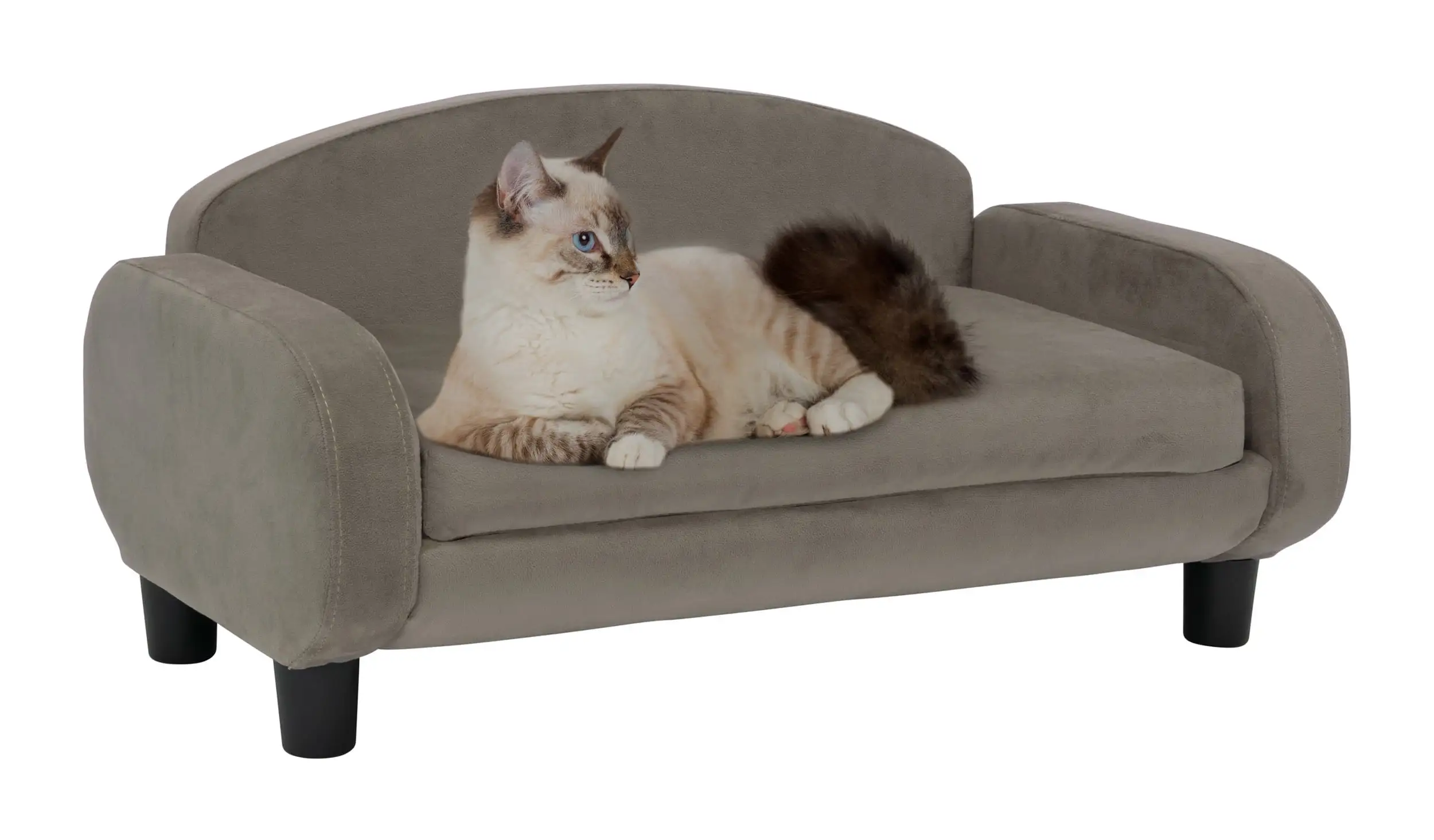 Paws & Purrs Modern Pet Sofa 31.5 Wide Low Back Lounging Bed with Removable Mattress Cover in Espresso / Ash - 61016