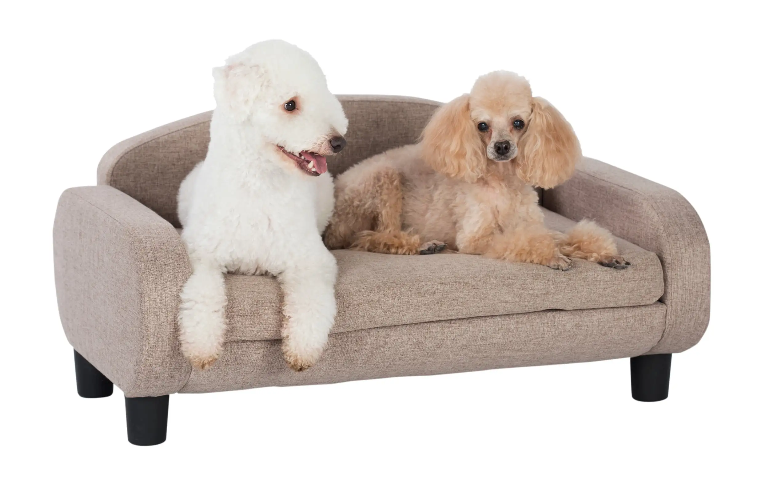 Paws & Purrs Modern Pet Sofa 31.5 Wide Low Back Lounging Bed with Removable Mattress Cover in Espresso / Sand - 61009