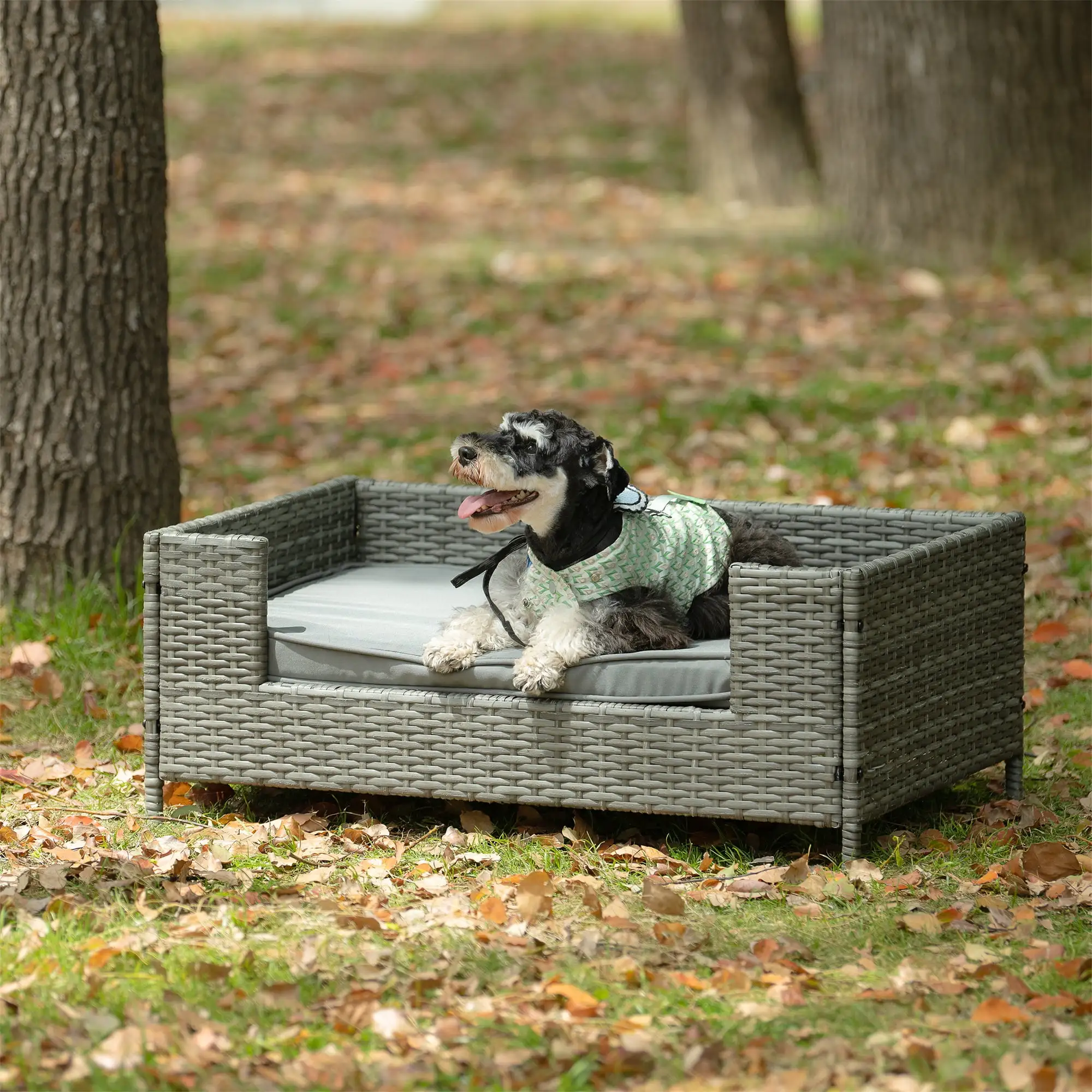 Pefilos 35 PE Wicker Dog Sofa Bed for Small Dogs Elevated Raised Rattan Pet Bed for Indoor/Outdoor with Removable Cushion Lounge. Gray