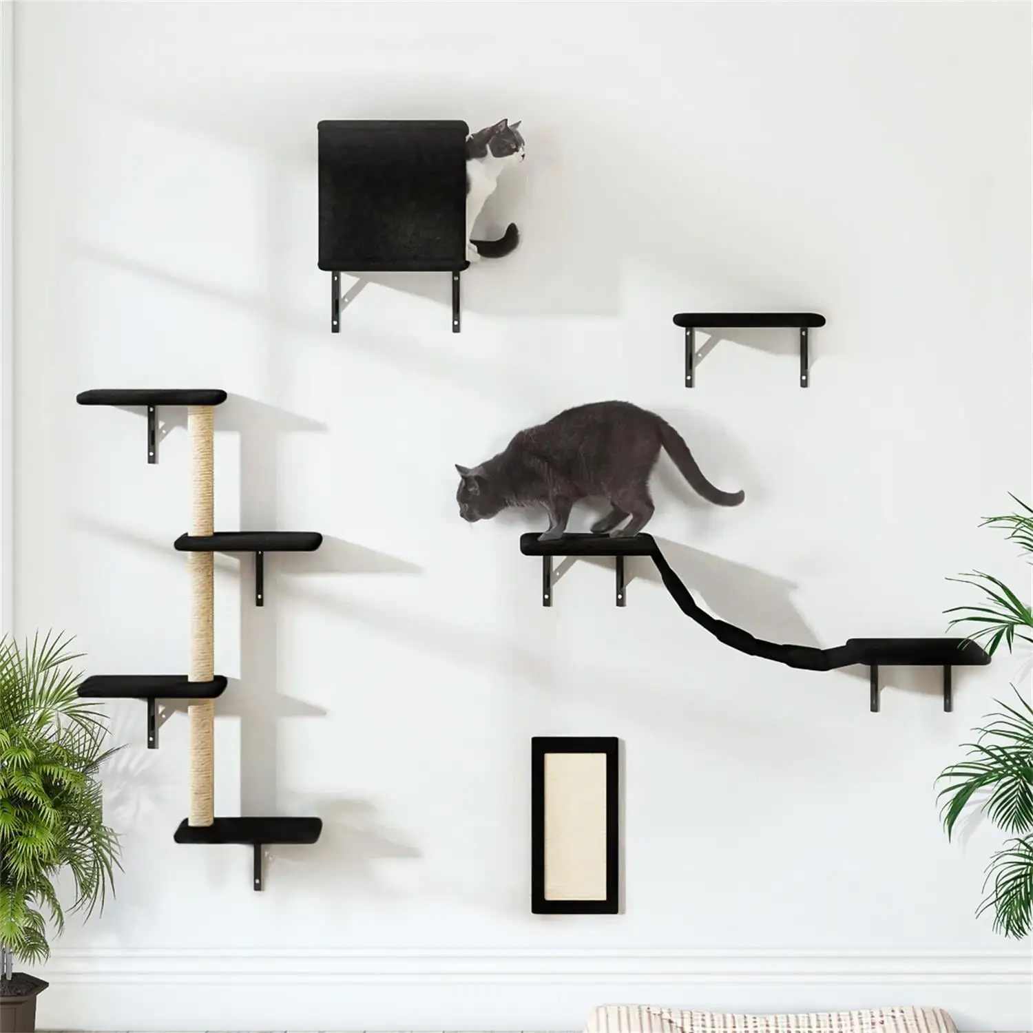 Pefilos Cat Wall Shelves and Perches Set of 5. Sleeping Playing Lounging Climbing Cat Tree House for Multiple Cats. Black