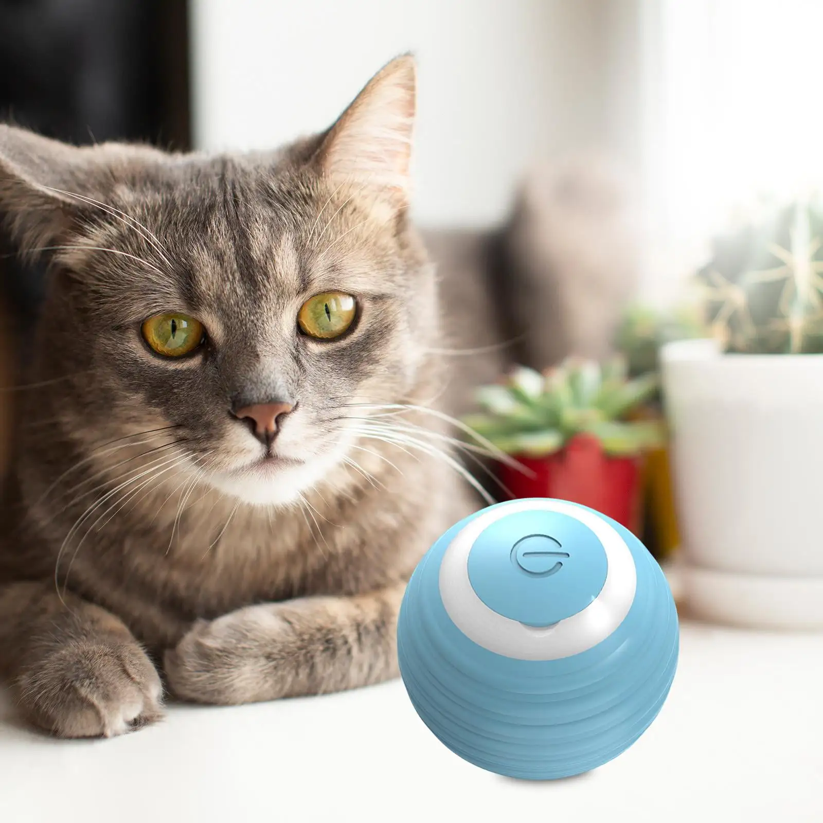 Peppy Pet Balls Birthday Gift Bouncing Rolling Ball for Kitty Kitten Hunting Blue