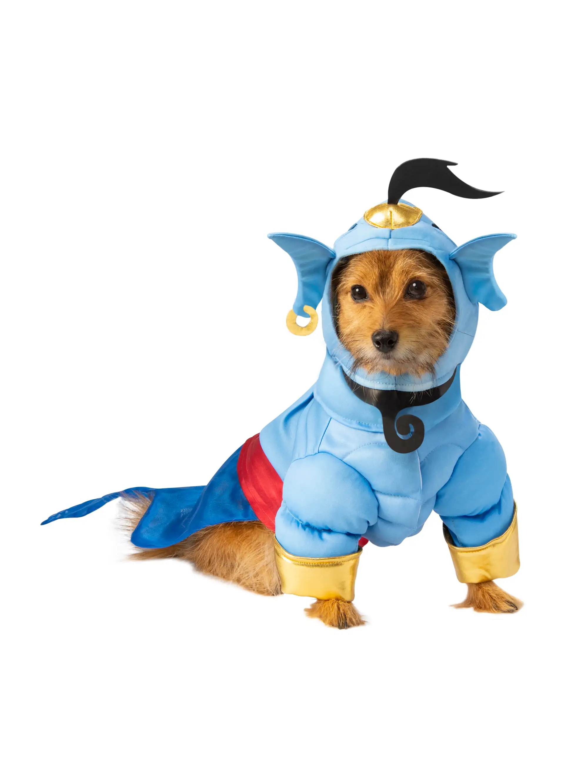 Pet Aladdin Genie Costume